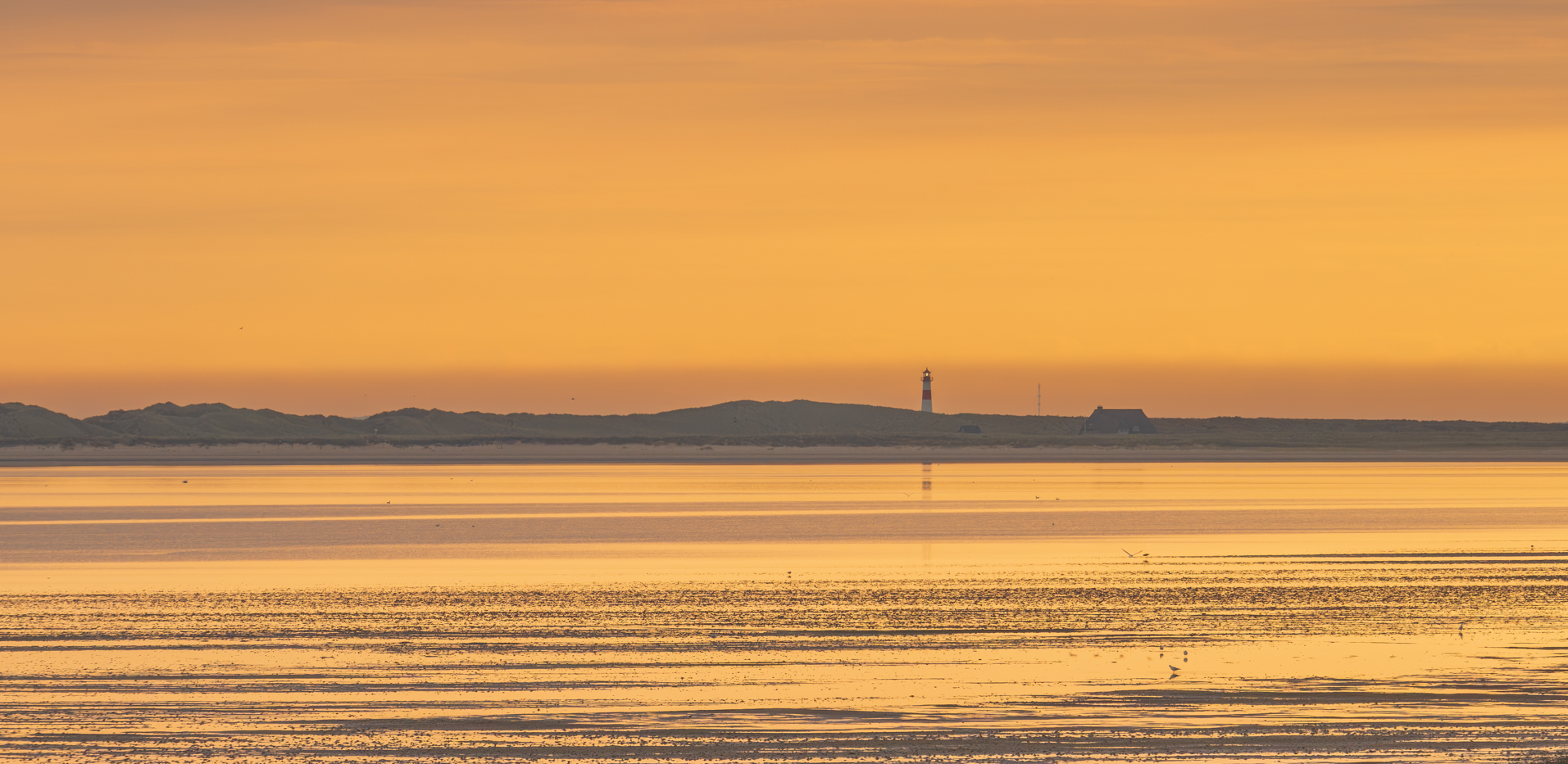 sylt.png