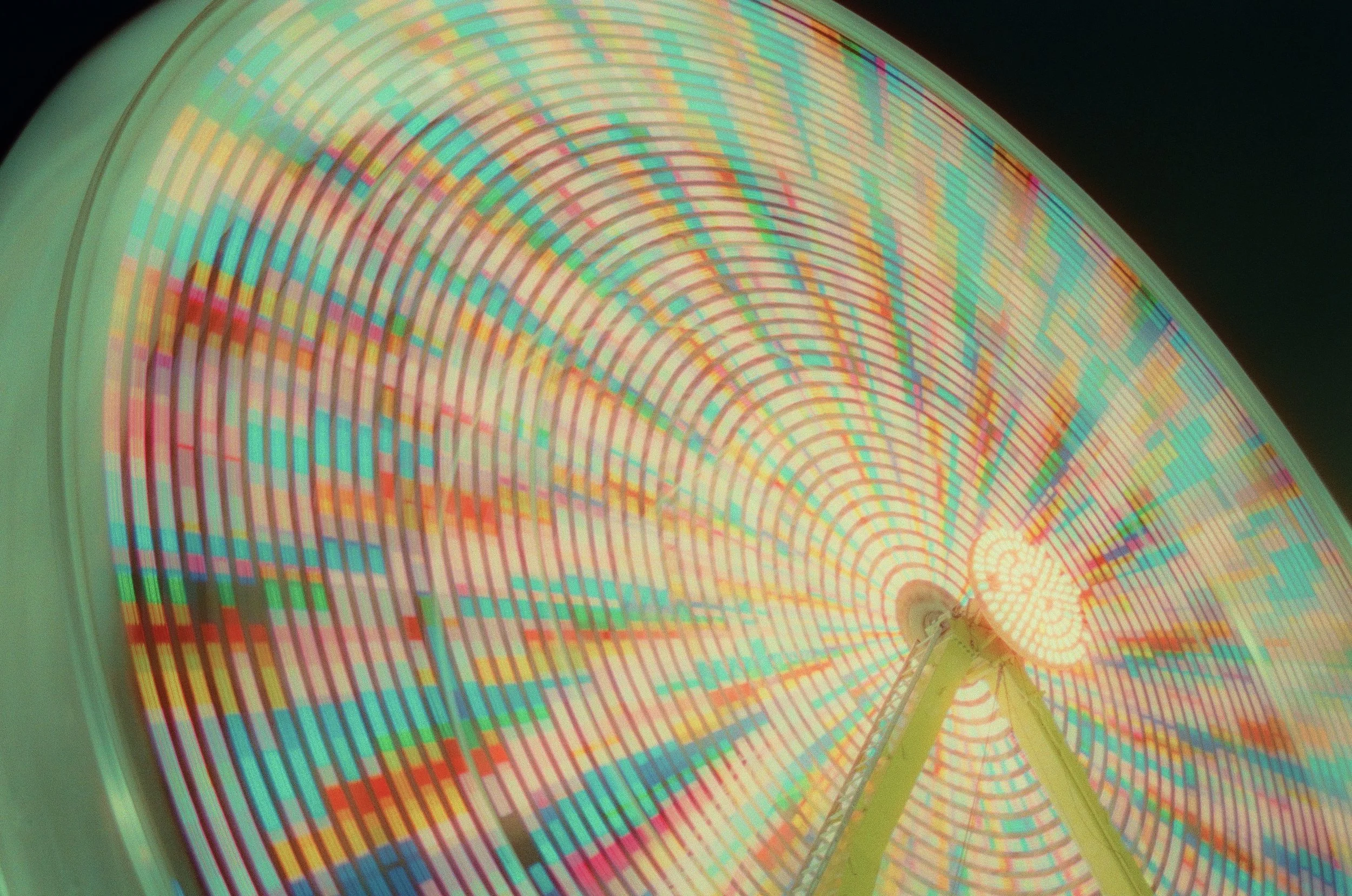 FerrisWheel1_SeanSweeney.jpg