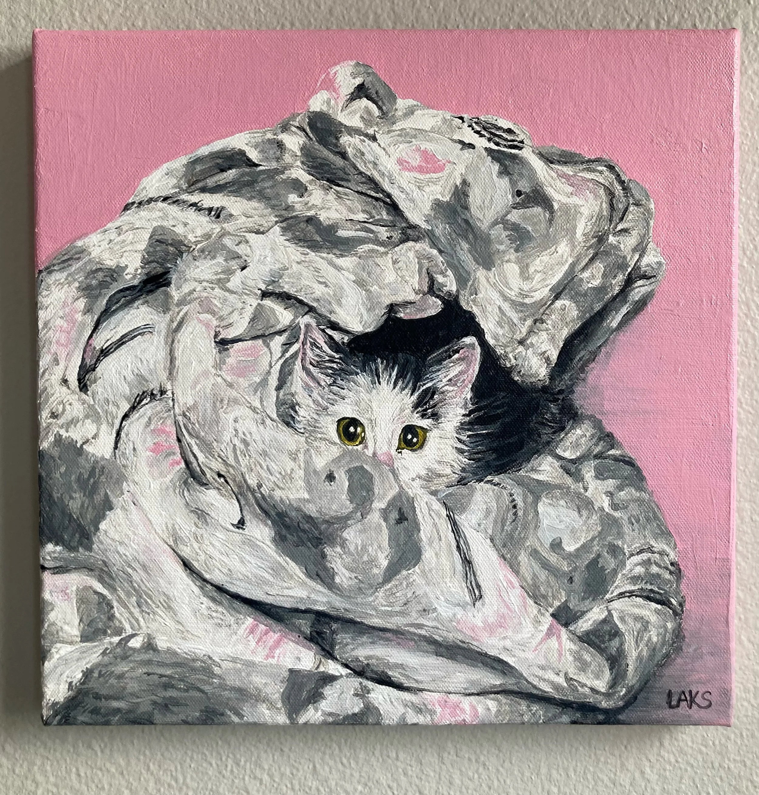 Lil Puchi 🕊️💕
&bull;
&bull;
&bull;
#restinpower #cats #kitty #painting #cute