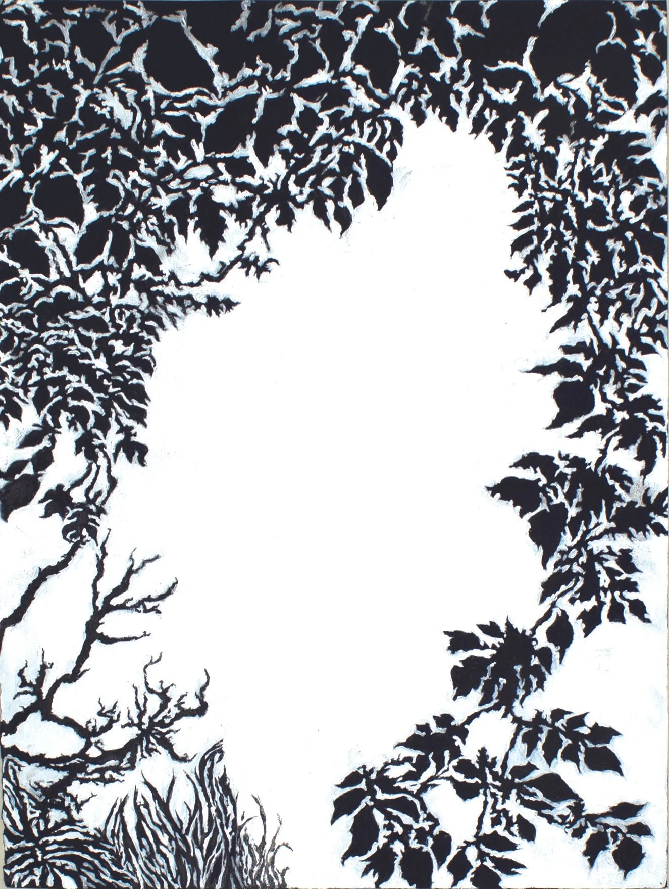 Silhouette of leafless trees and branches with intricate patterns against a white background.
