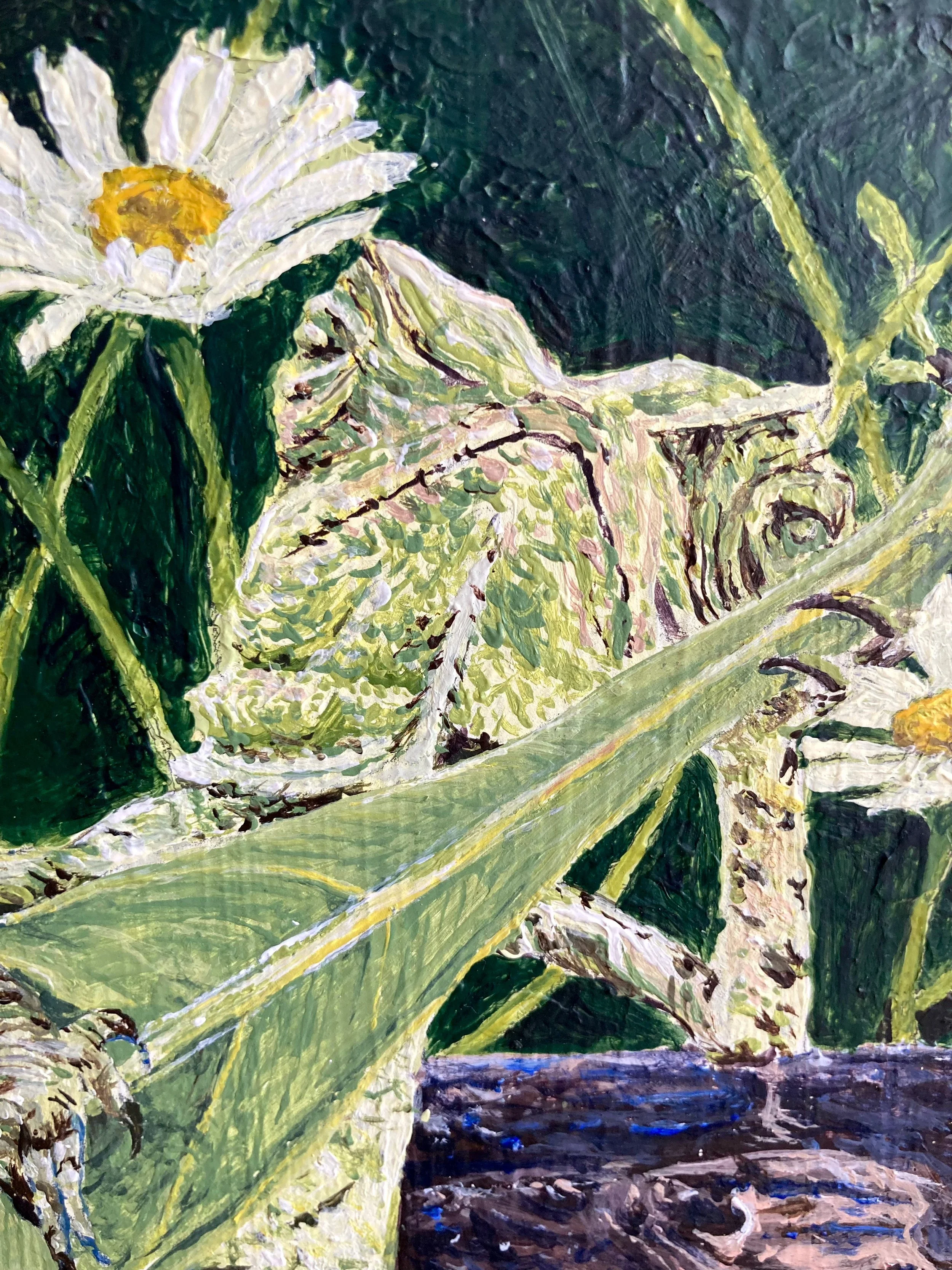 lizard-2.jpg