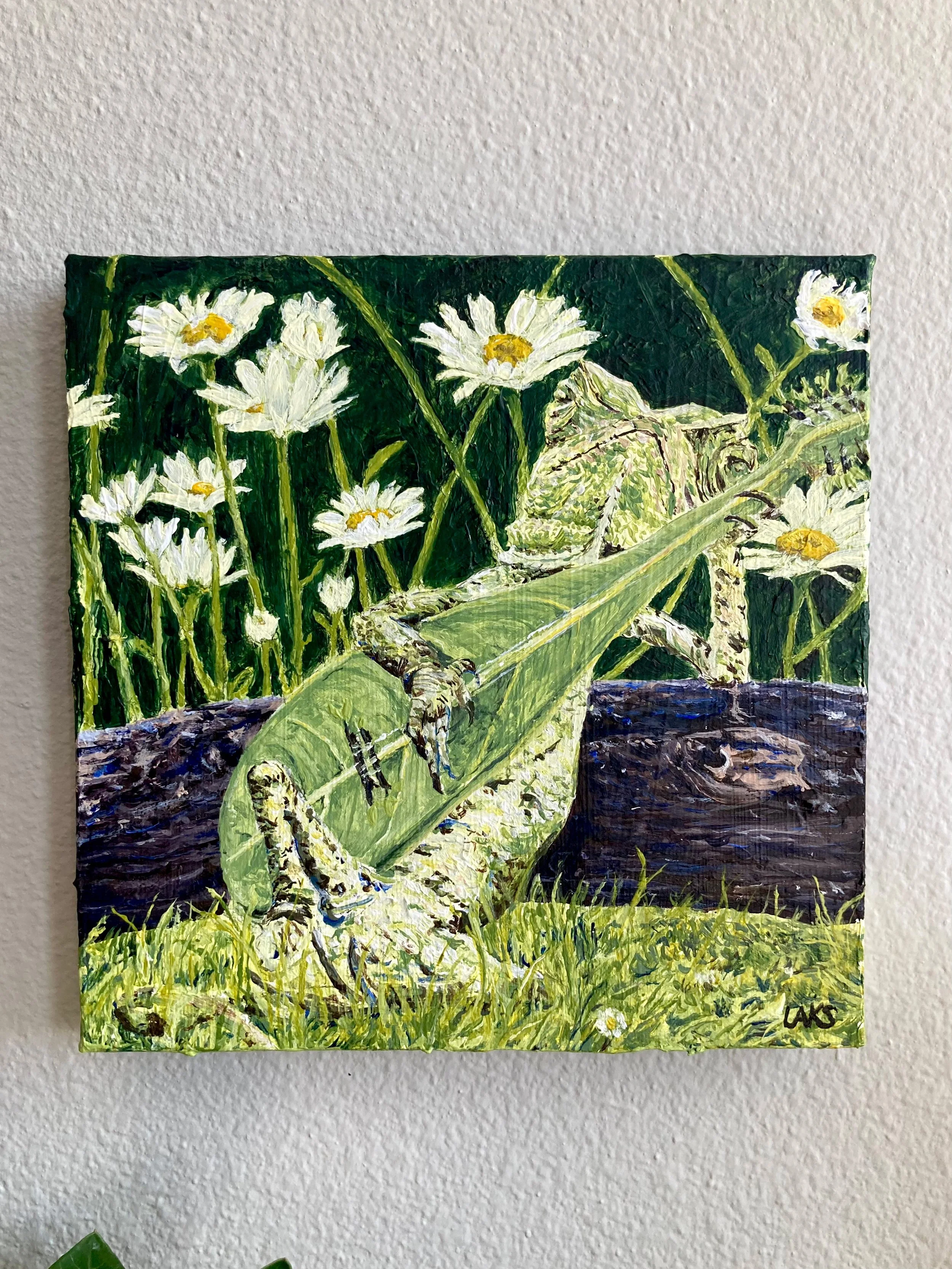lizard-3.jpg