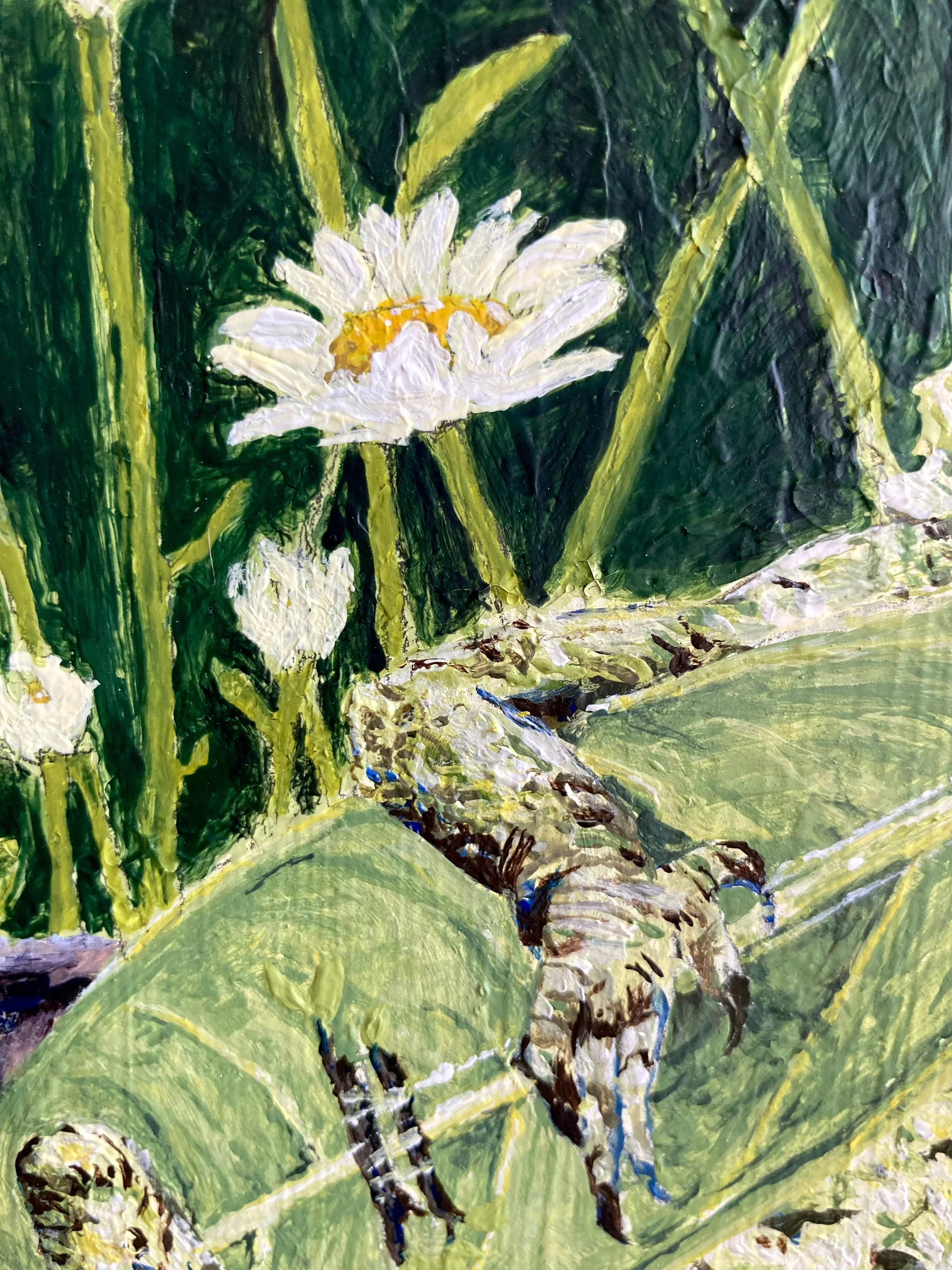 lizard-1.jpg