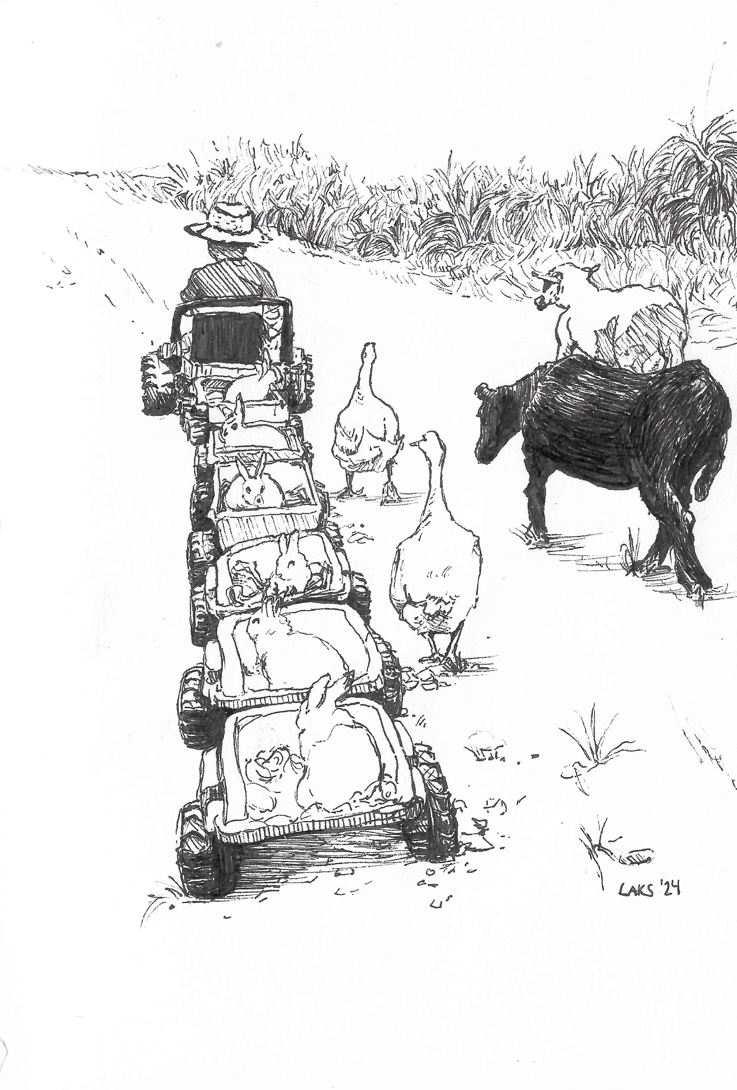 A black and white sketch of a person walking in a line of wagons with bunnies in the carts, surrounded by tall grass and plants, with a cow and ducks nearby.
