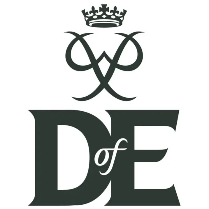 A logo with a crown on top, intertwined stylized letters 'W' and 'V' beneath the crown, and large bold letters 'D' and 'E' with the word 'of' between them.