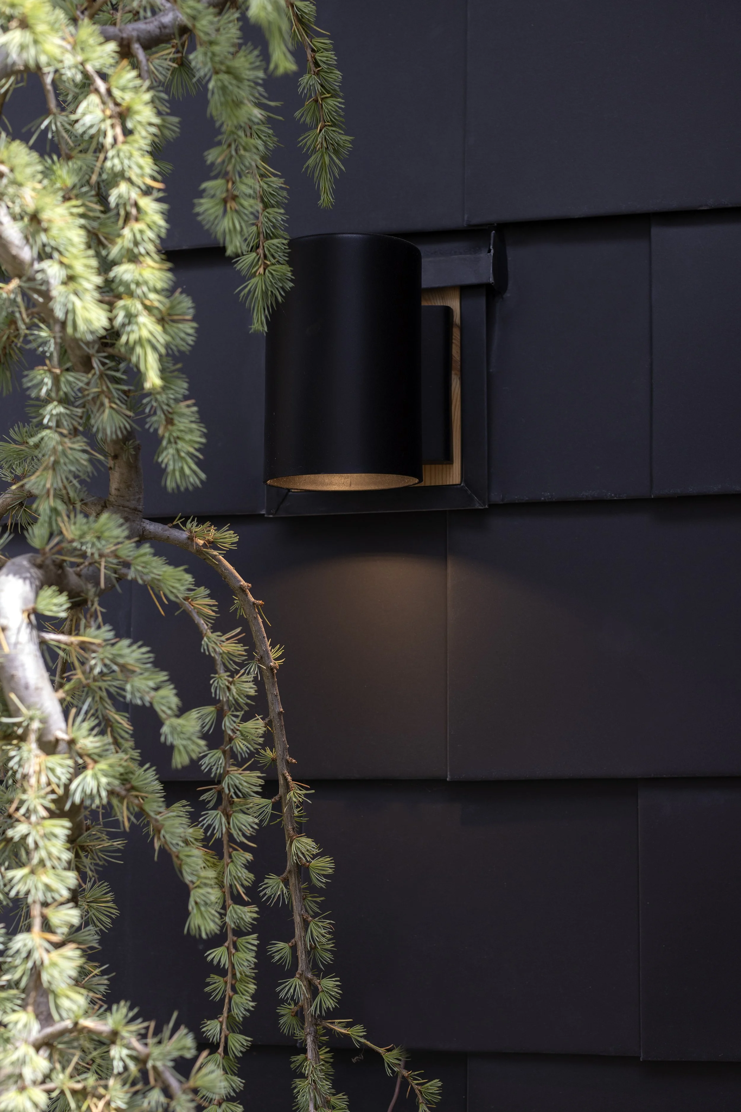 Banfield Design Co-The-Sidney-Exterior-Custom-Home-6.jpg