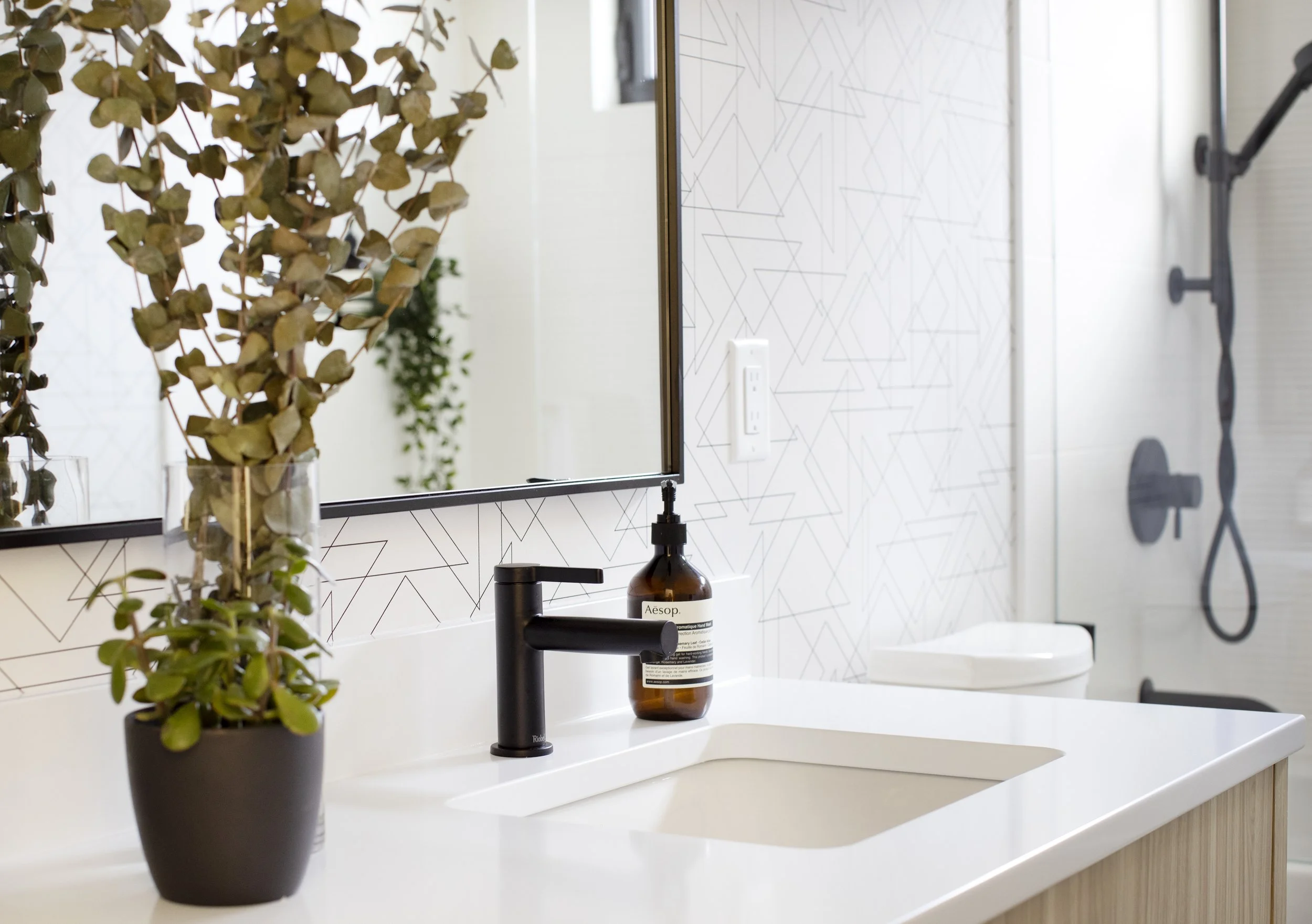 A bathroom countertop with a potted plant, a soap dispenser, a black soap pump, a mirror, and a wall with geometric tile pattern. In the background, a towel bar with circular holders.