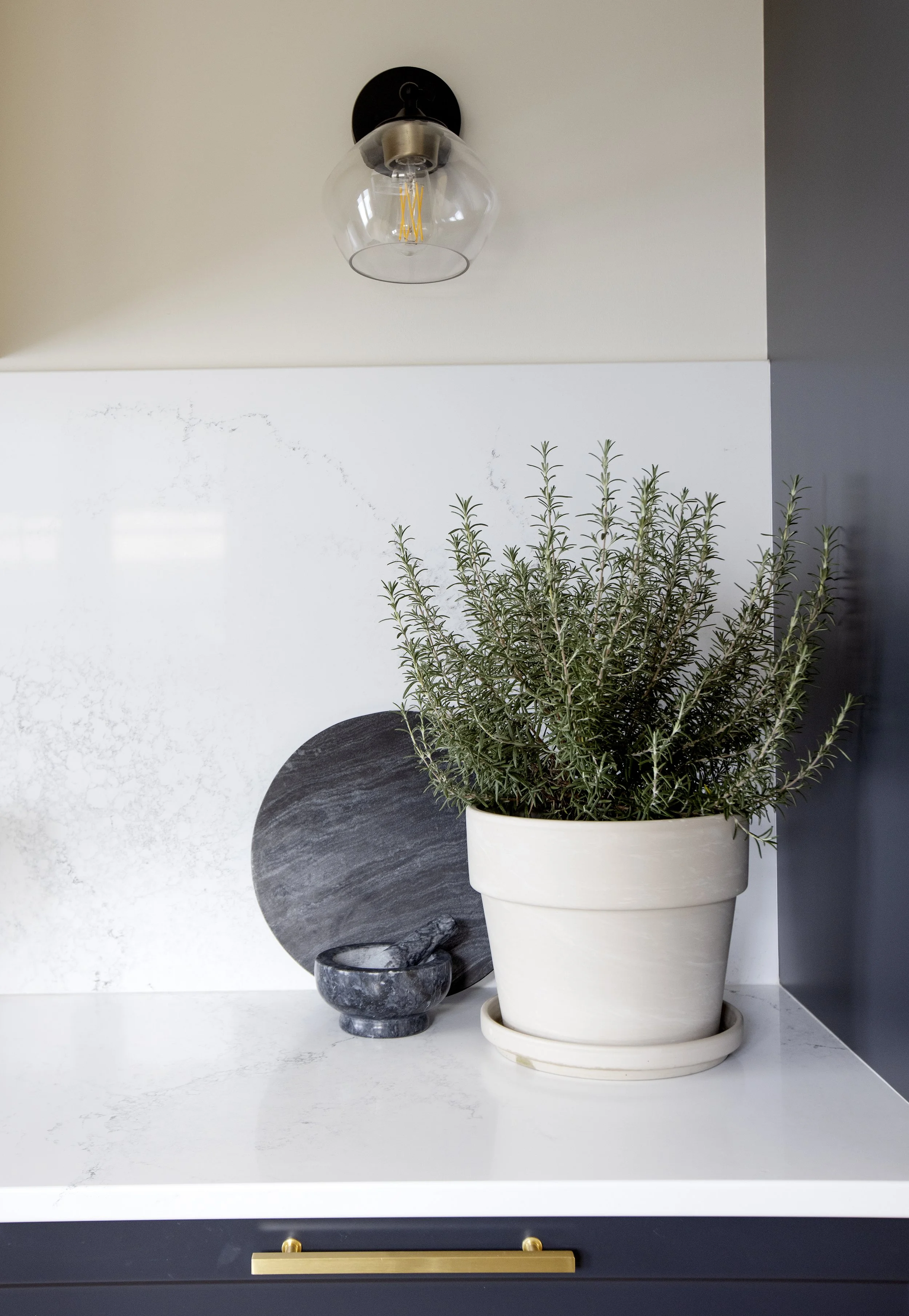 A white potted plant with green foliage placed on a white marble surface, behind a dark cabinet with a gold handle.