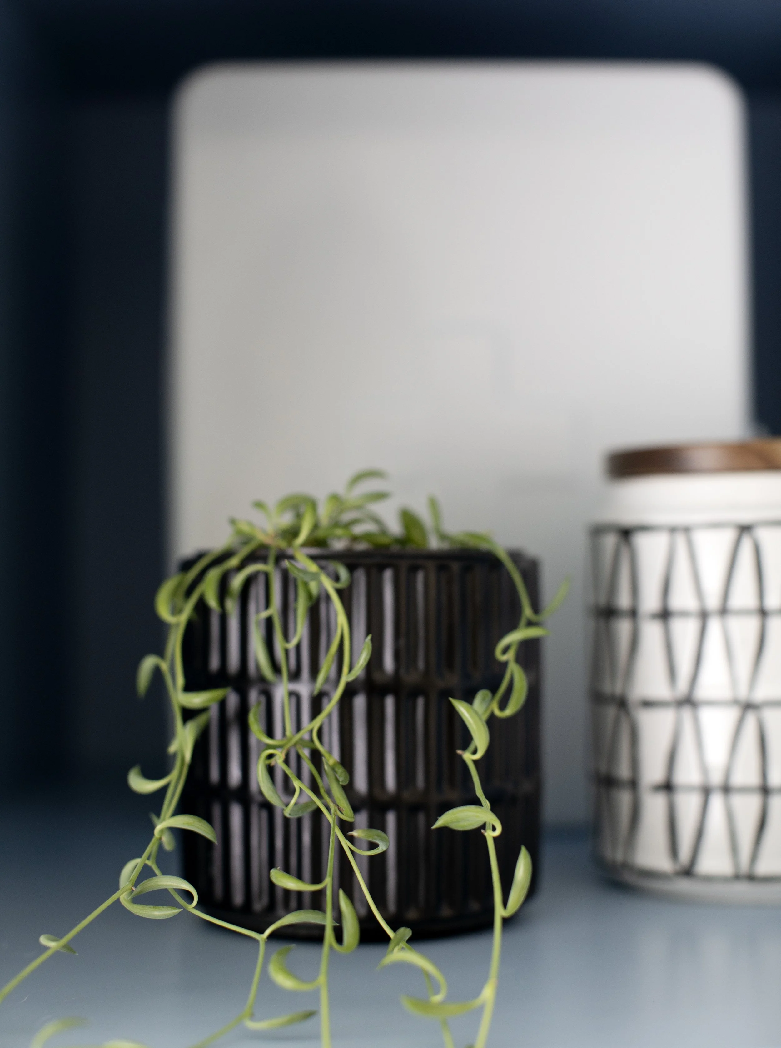 Banfield Design Co Interior Desig Renovation Bathroom Langley Vancouver_030.jpg
