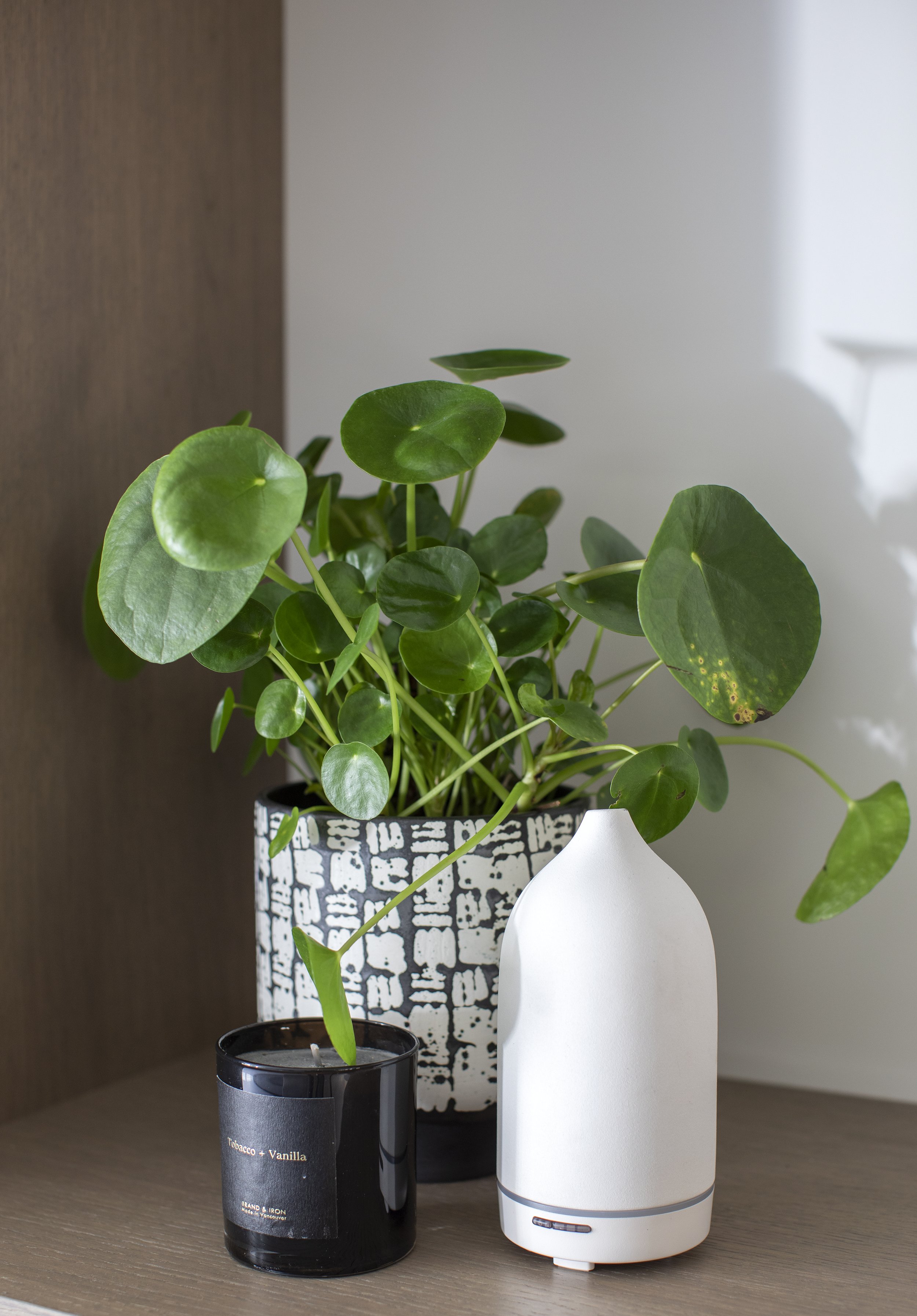 Banfield Design Co Renovation Interior Design West Vancouver North Vancouver_8097.jpg