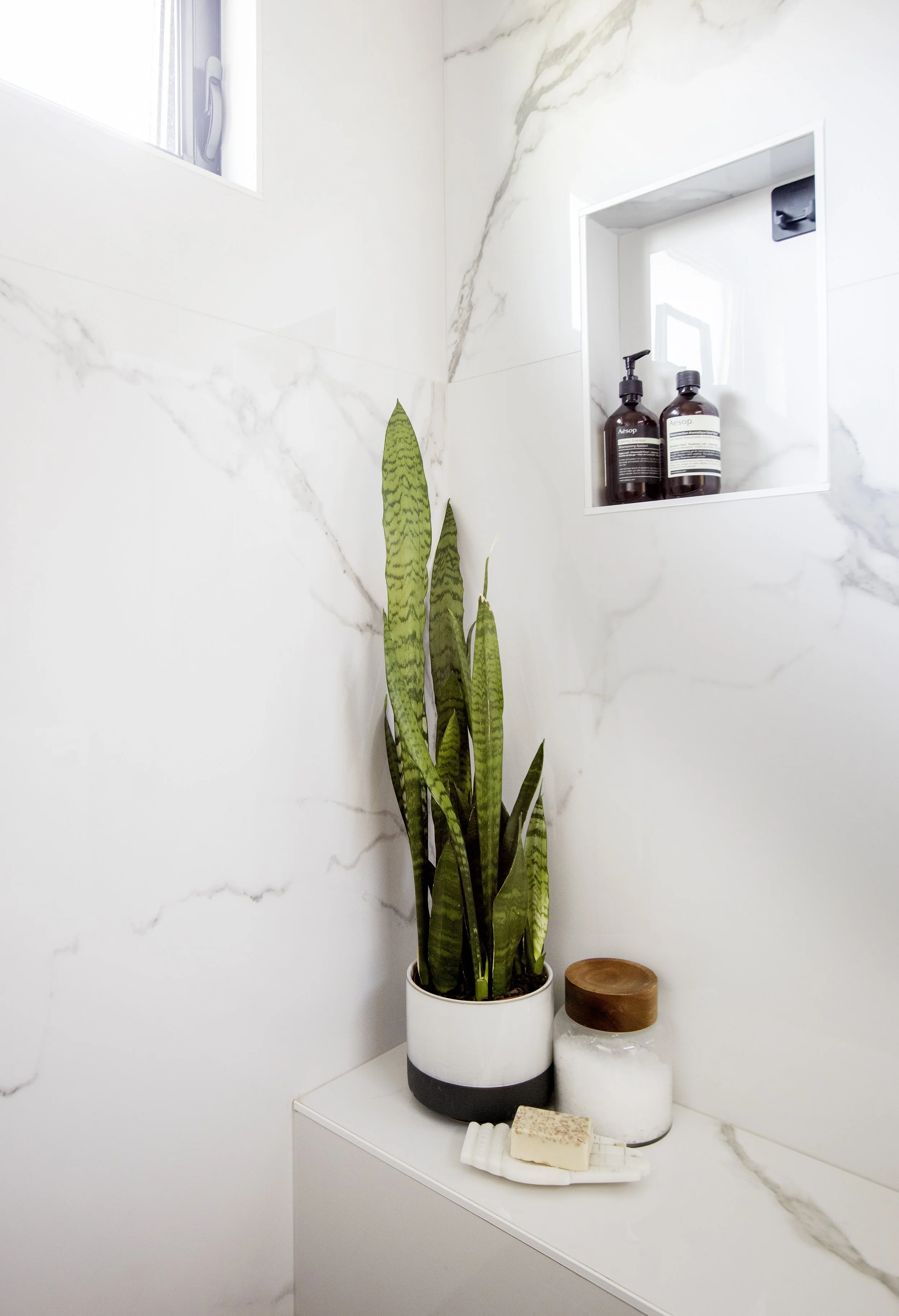 A marble-patterned wall with a window, a tall snake plant in a white and black pot, a soap dish, and bottles of skincare on a marble countertop.