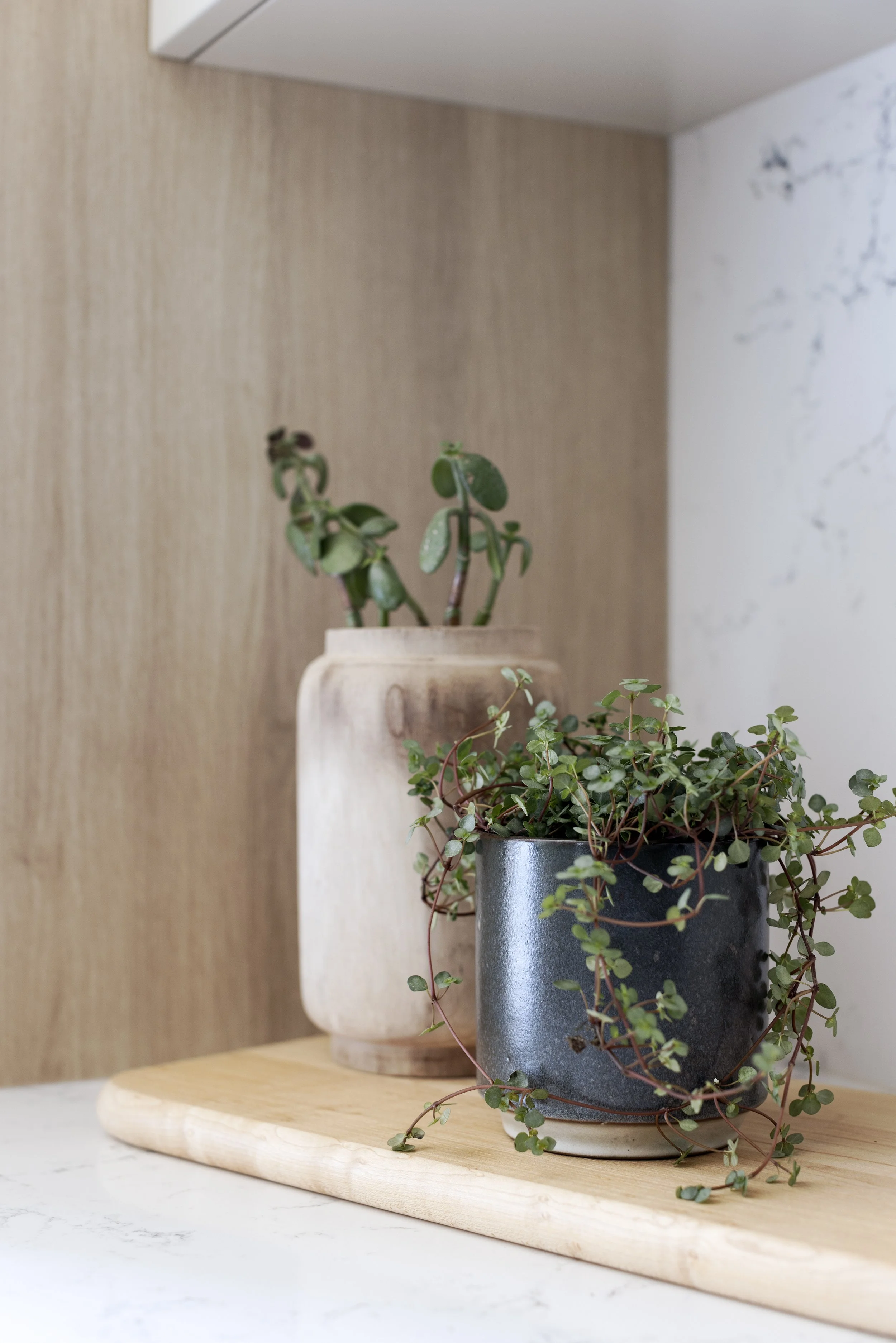 Banfield Design Co Vancouver Interior Design Townhouse Renovation_1657.jpg