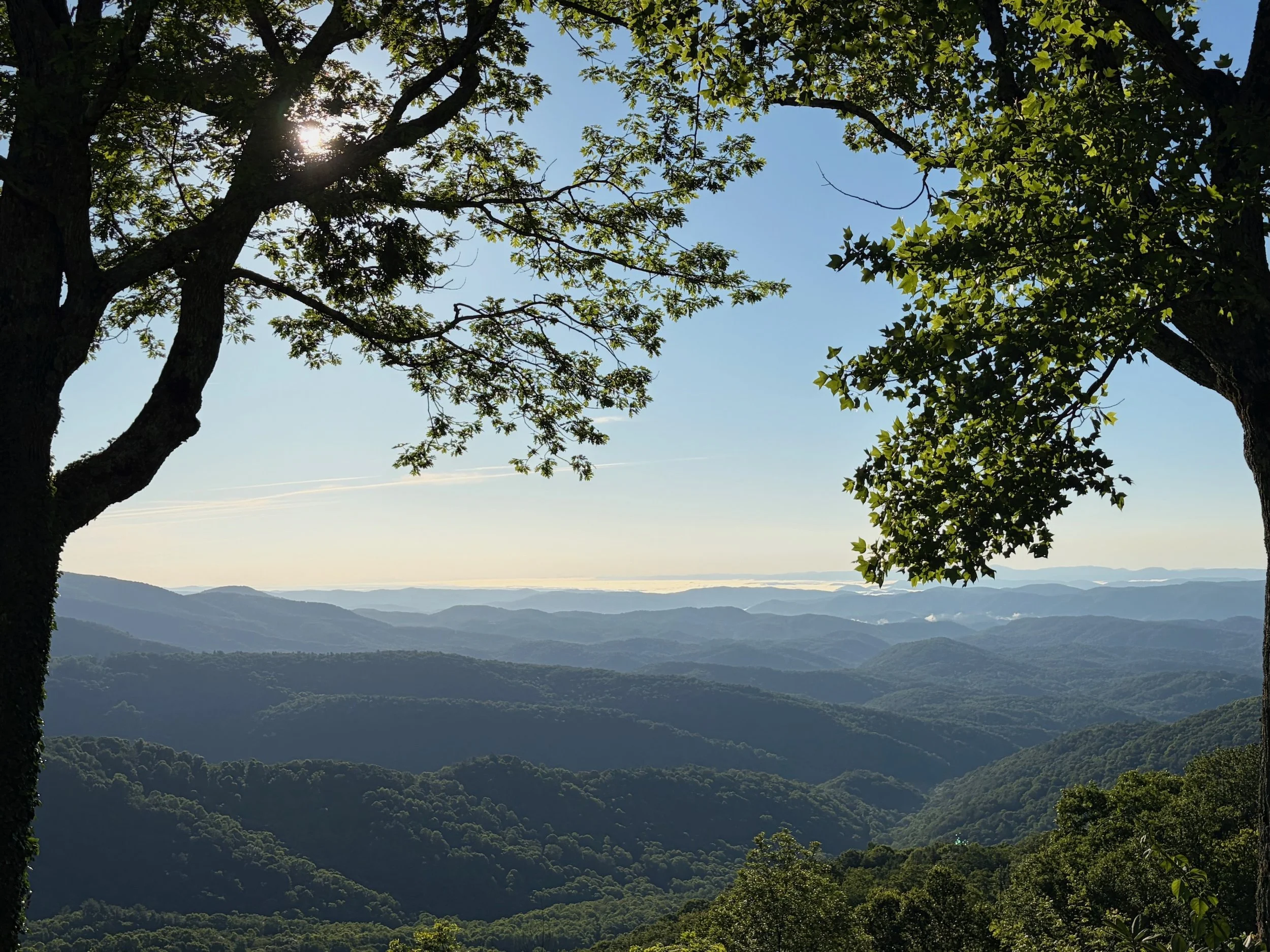 A love affair with the wild South