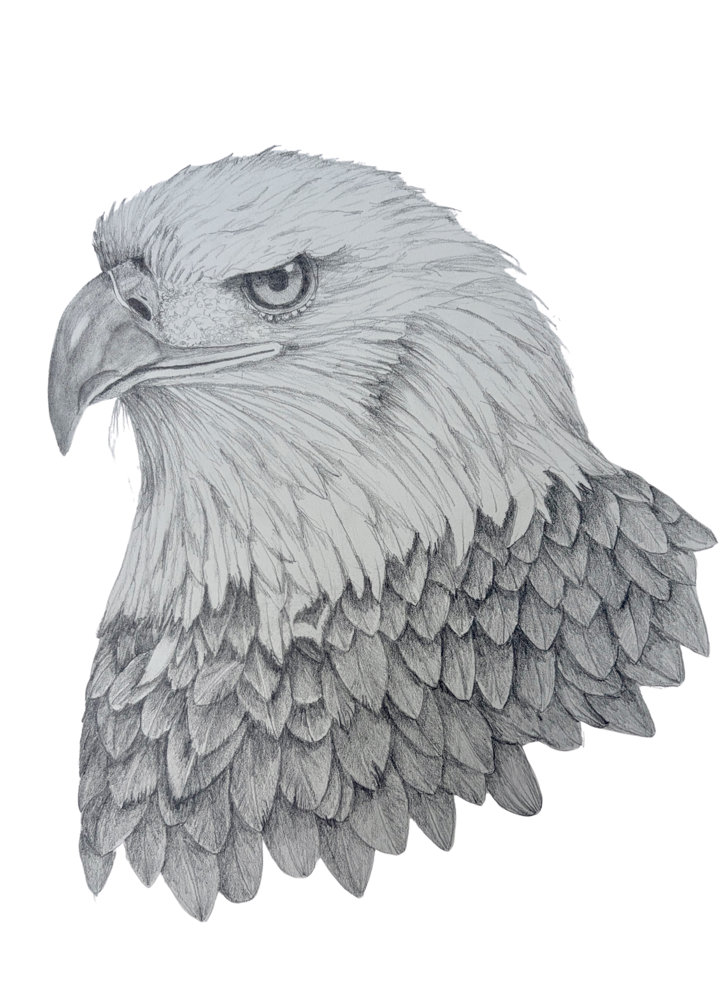 Drawings