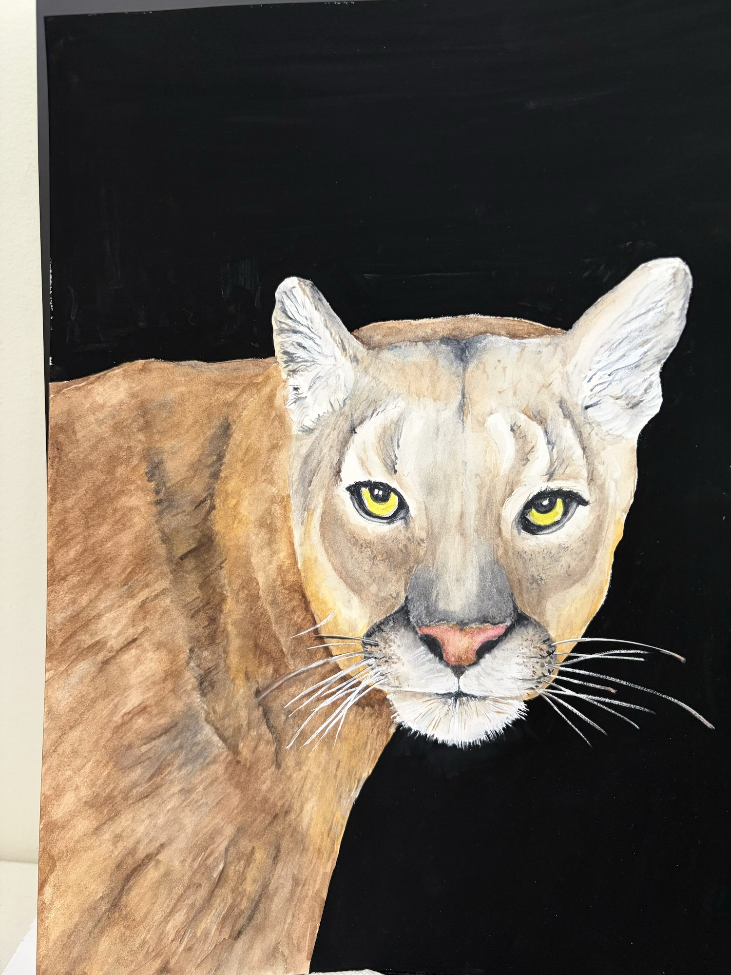 FLORIDA PANTHER