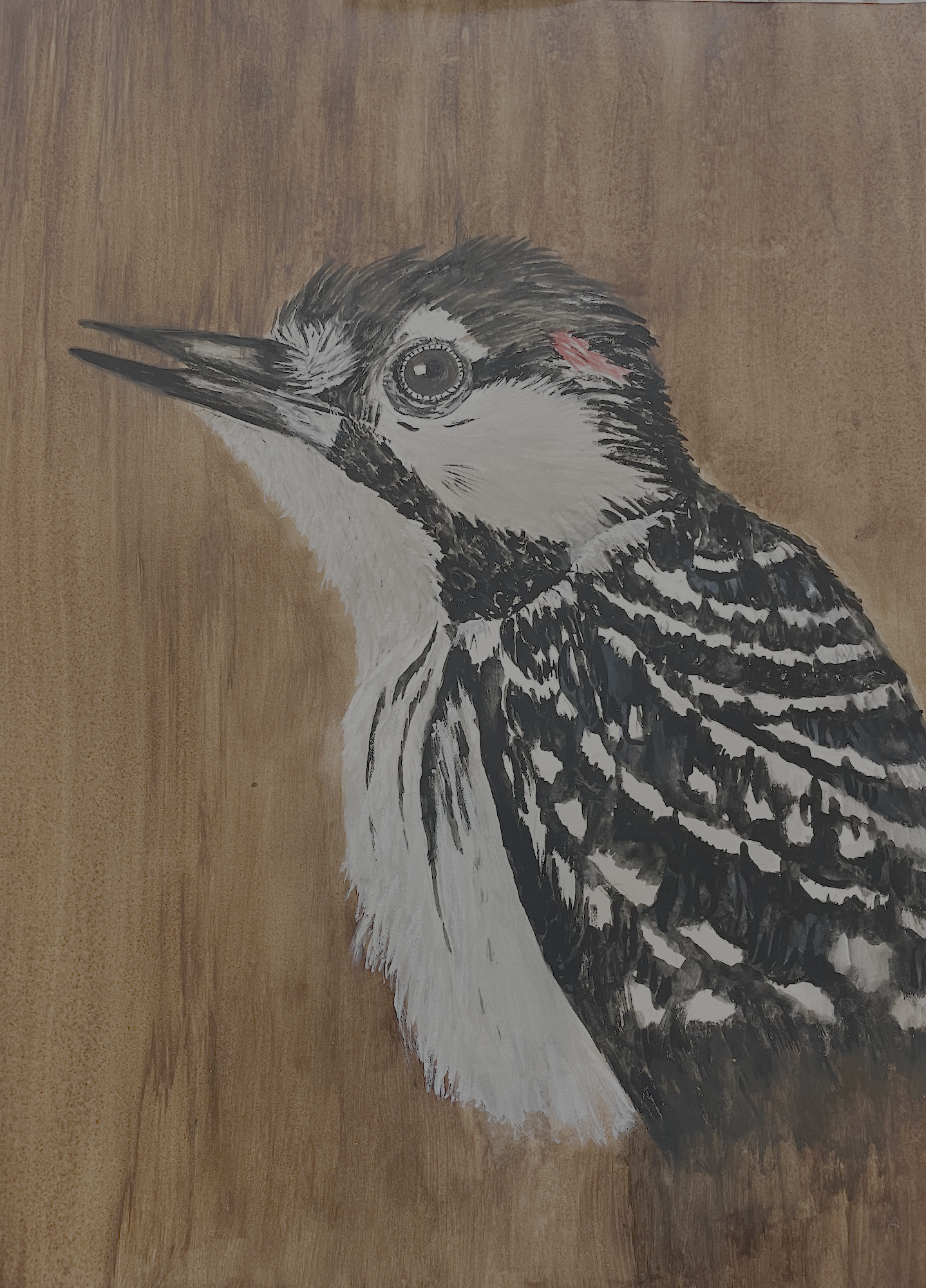 RED-COCKADED WOODPECKER
