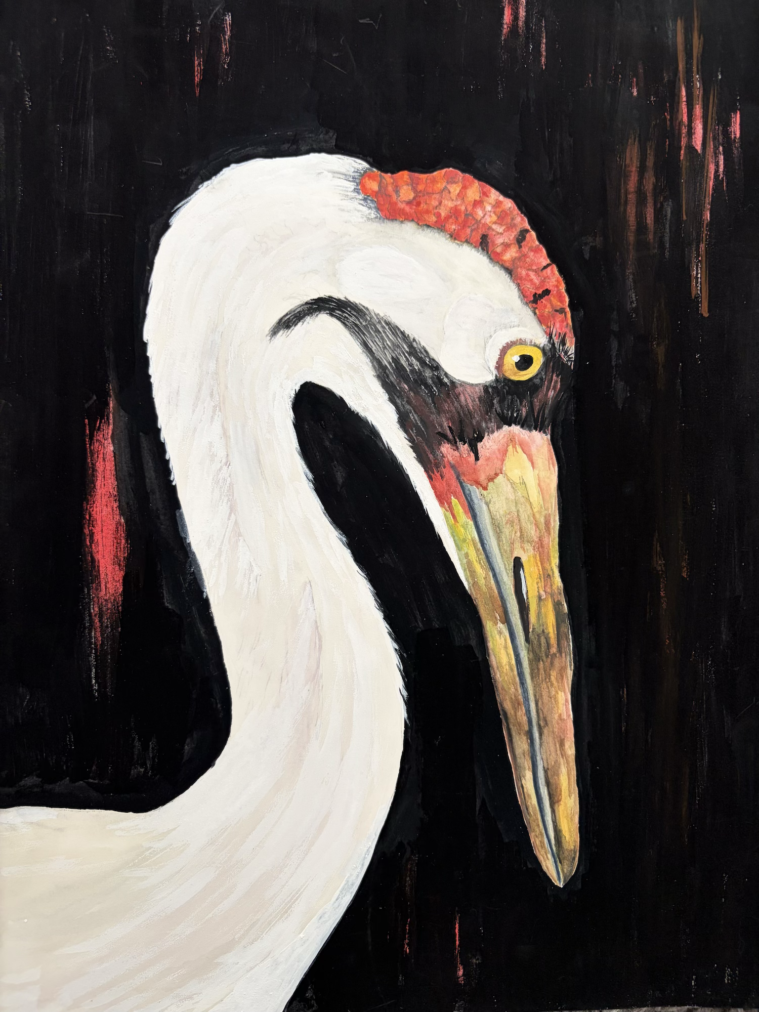 WHOOPING CRANE