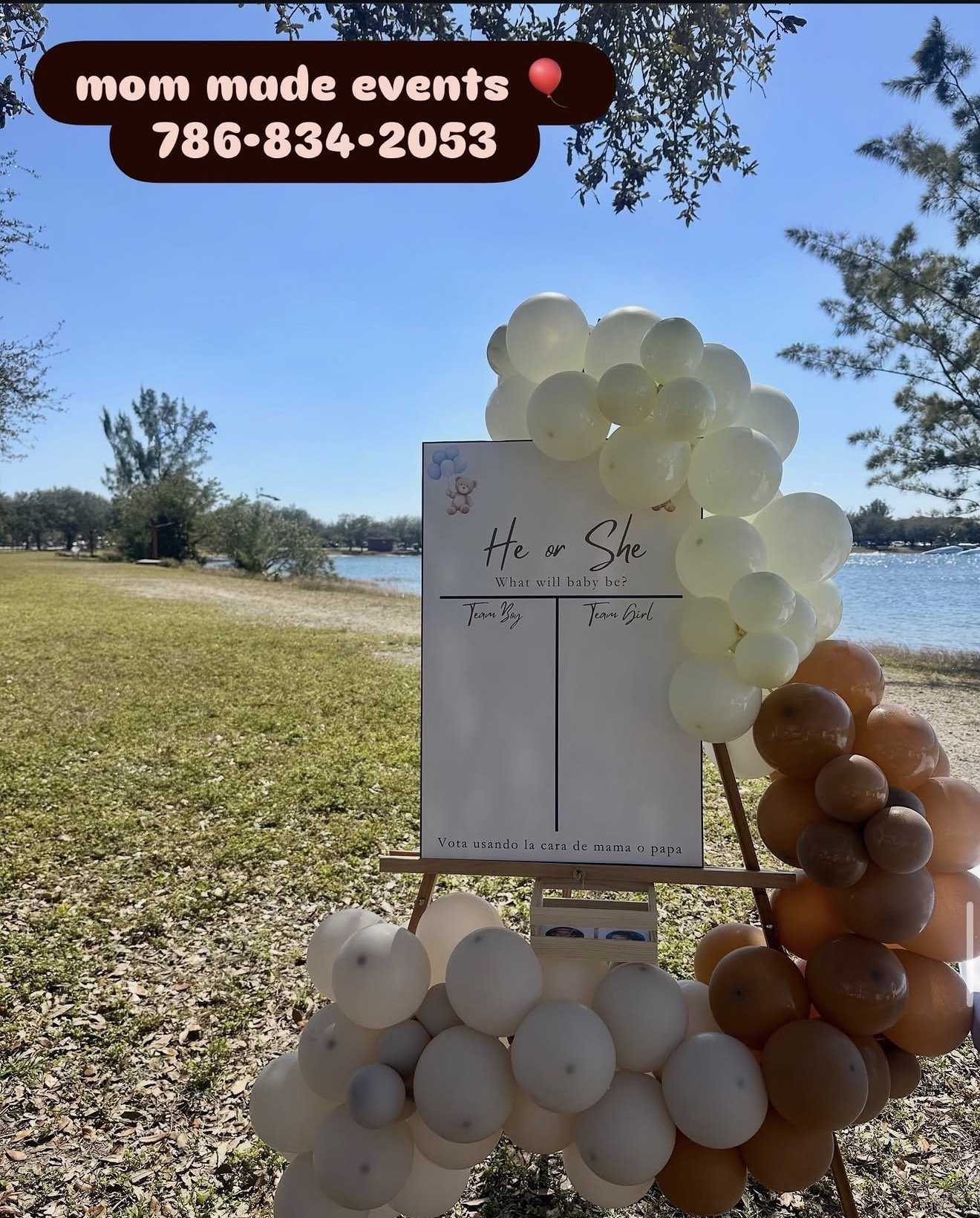 Outdoor gender reveal setup with white, brown, and beige balloons arranged around a sign that reads 'He or She, What will baby be?'. The sign has options for 'Team Boy' and 'Team Girl' with a teddy bear graphic, and instructions in Spanish to vote using faces of mom or dad. Background shows a grassy field, trees, a lake, and a clear blue sky.