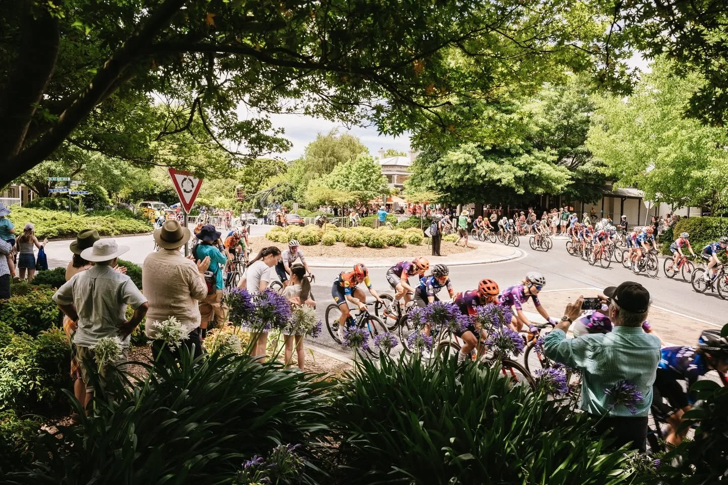 Tour Down Under cyclists racing through Stirling in the Adelaide Hills as crowds watch