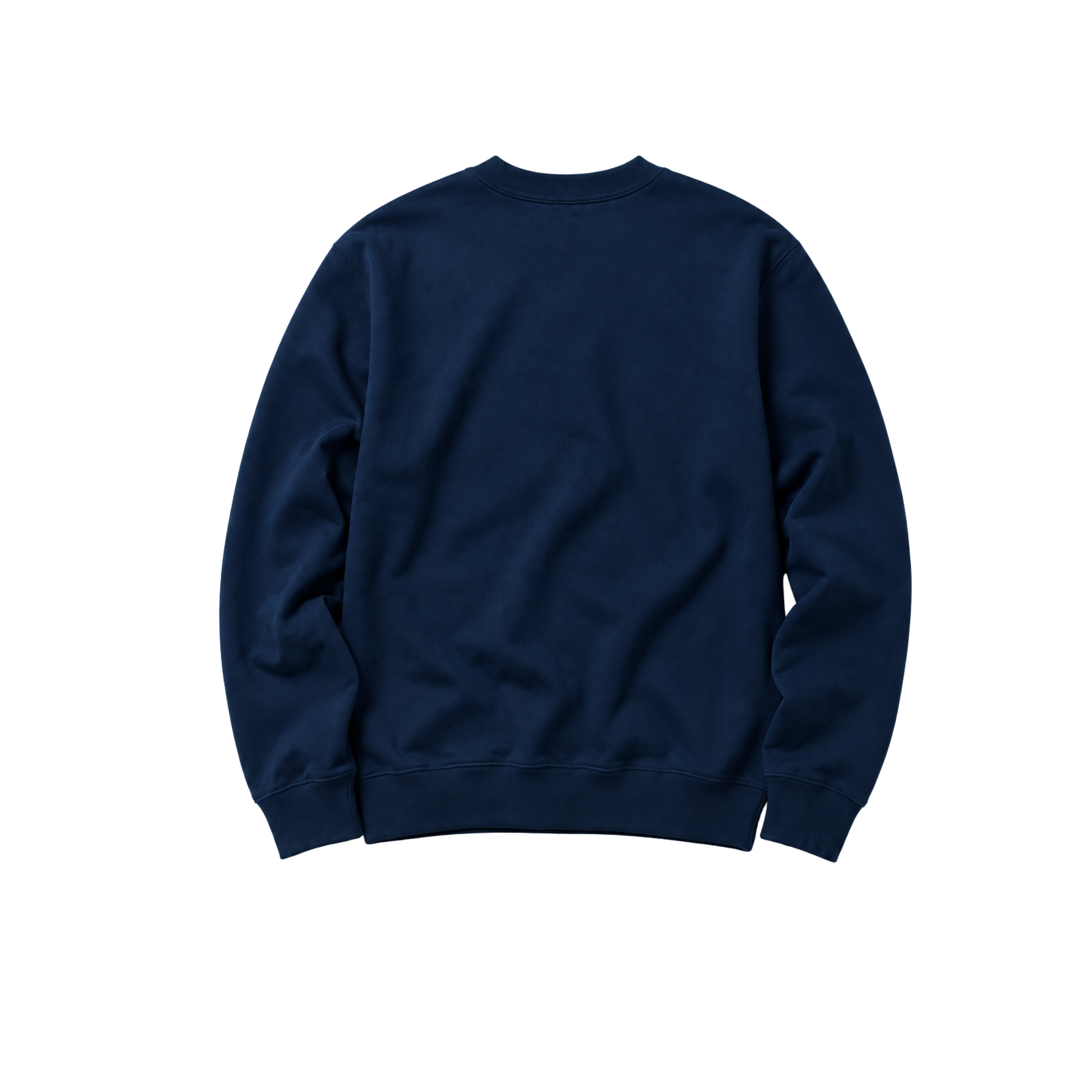 back 1.png