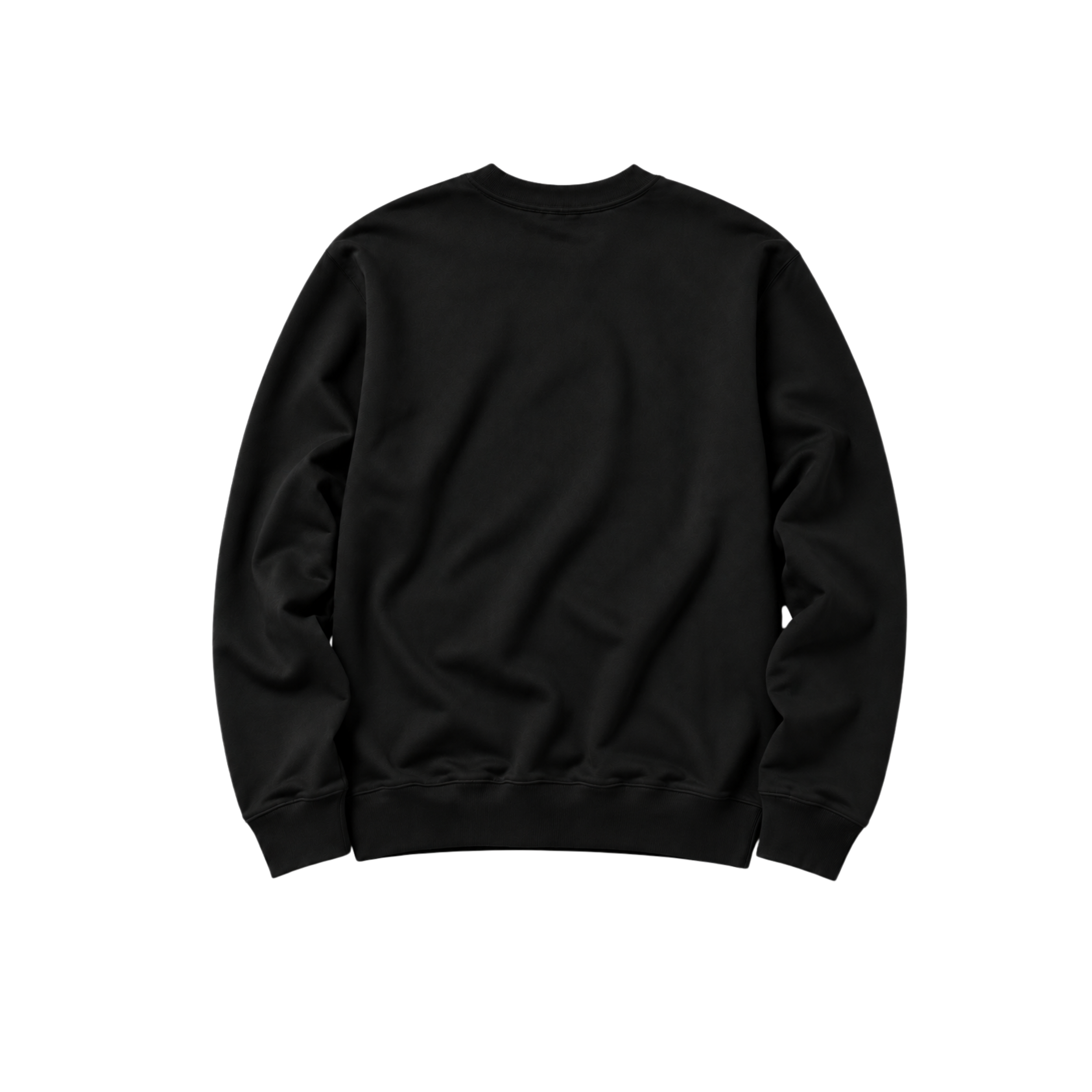 back blk sweatshirt.png