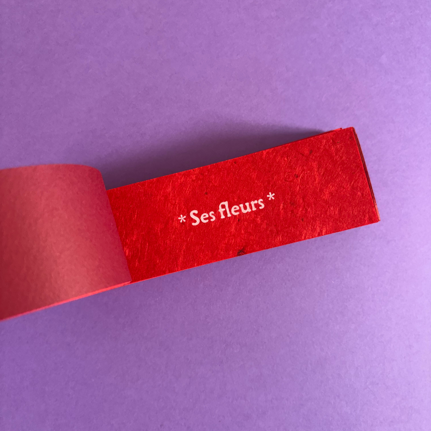 Une bandelette rouge avec la phrase 'Ses fleurs' en blanc, posée sur un fond violet.