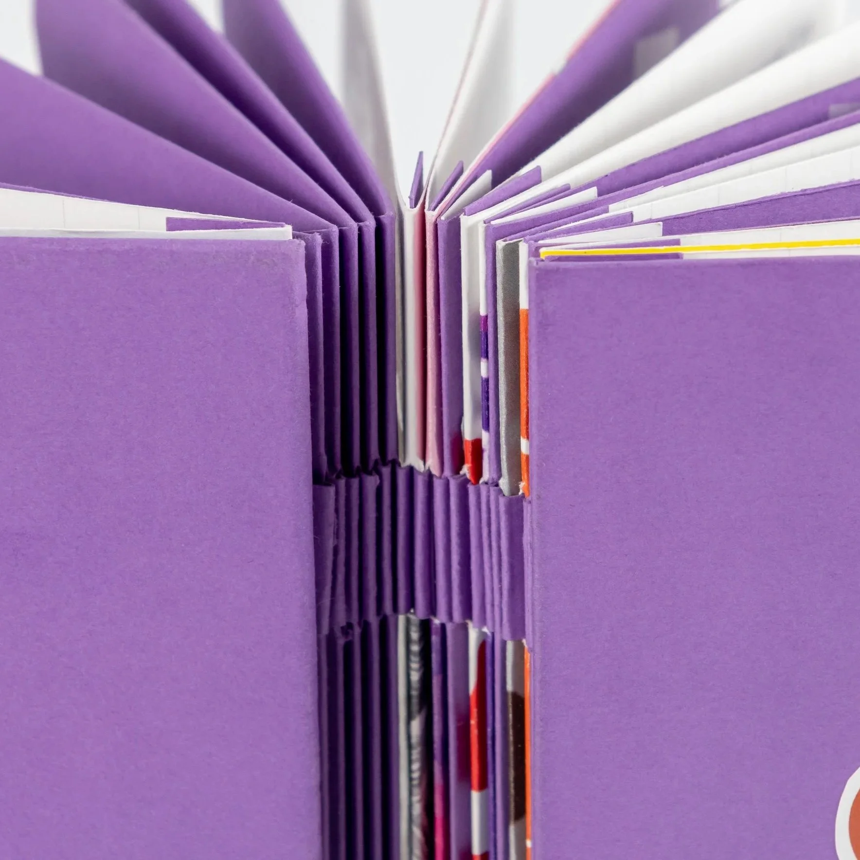 Livre ouvert avec des pages violettes et blanches, vu du centre.