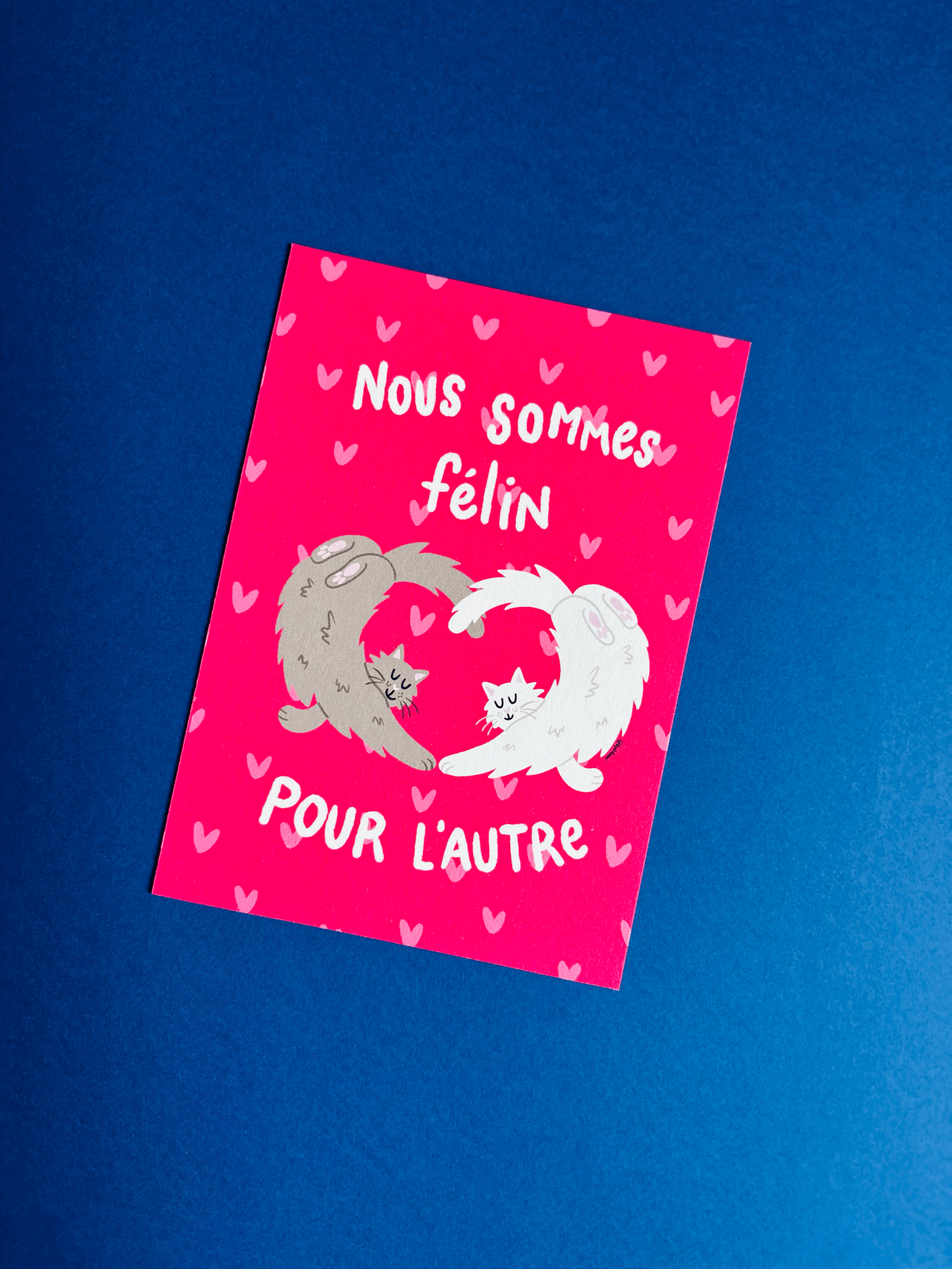 Félins pour l'autre
