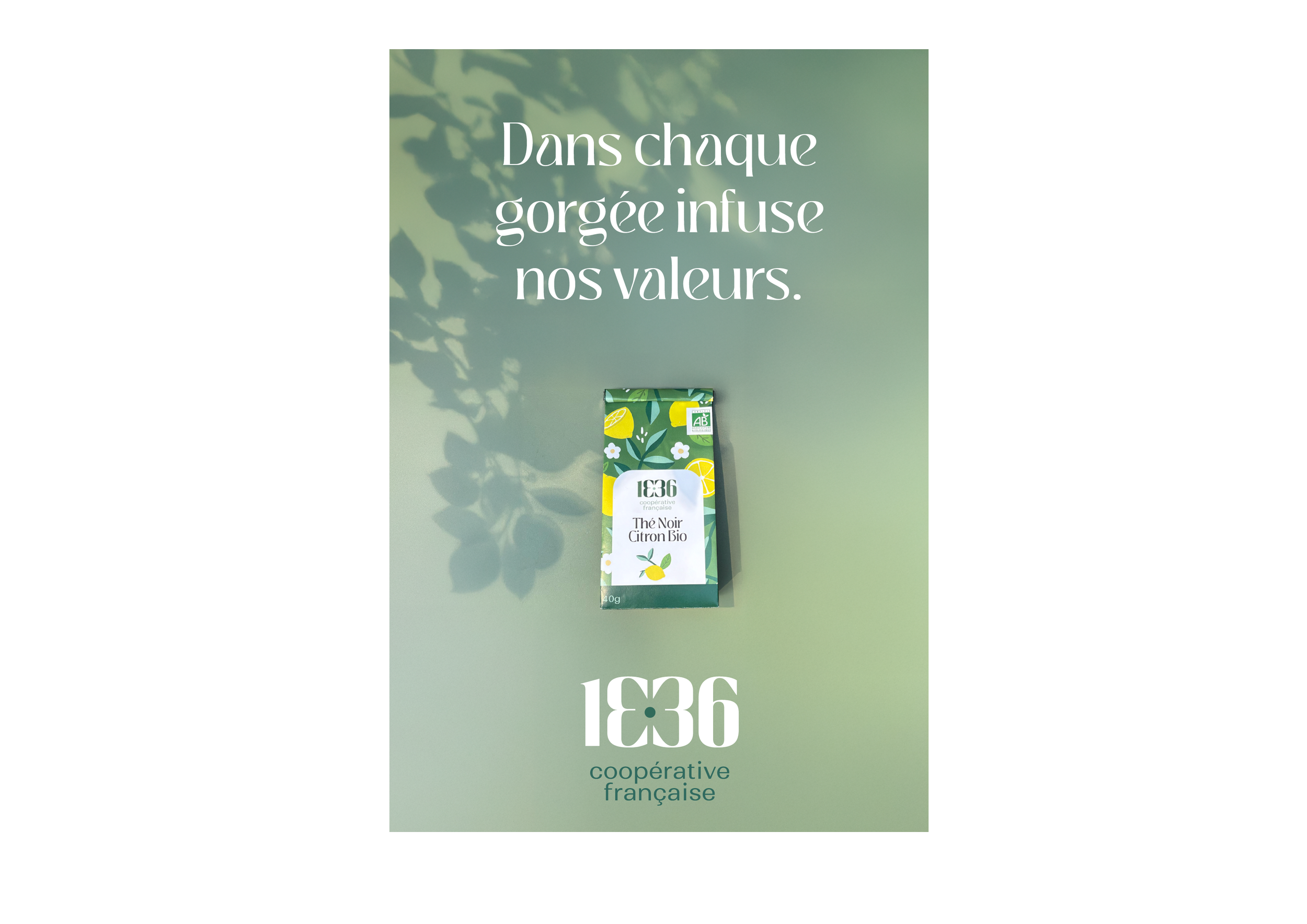 Texte en français sur fond vert avec ombres de feuilles, une boîte de thé au citron bio de la marque 1836, coopérative française.