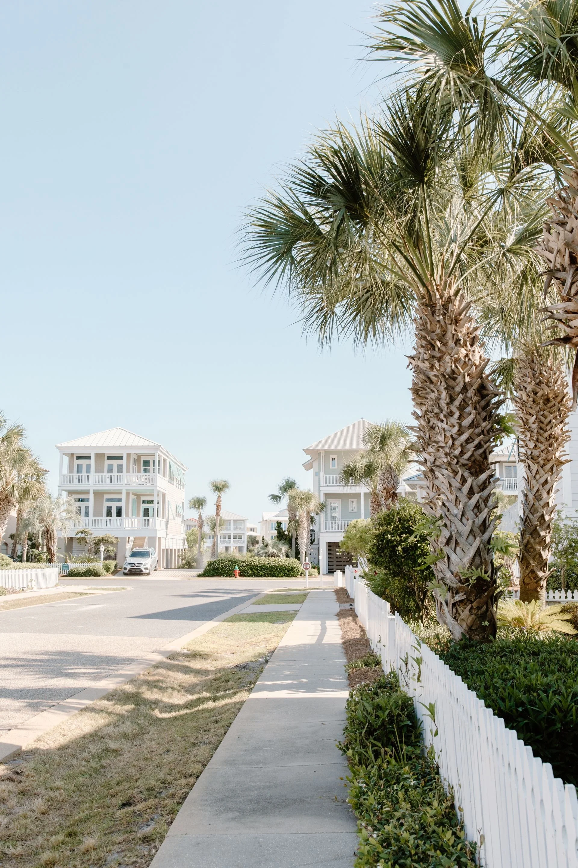 A sunny street scene with palm trees, white residential buildings, parked cars, and a clear blue sky.