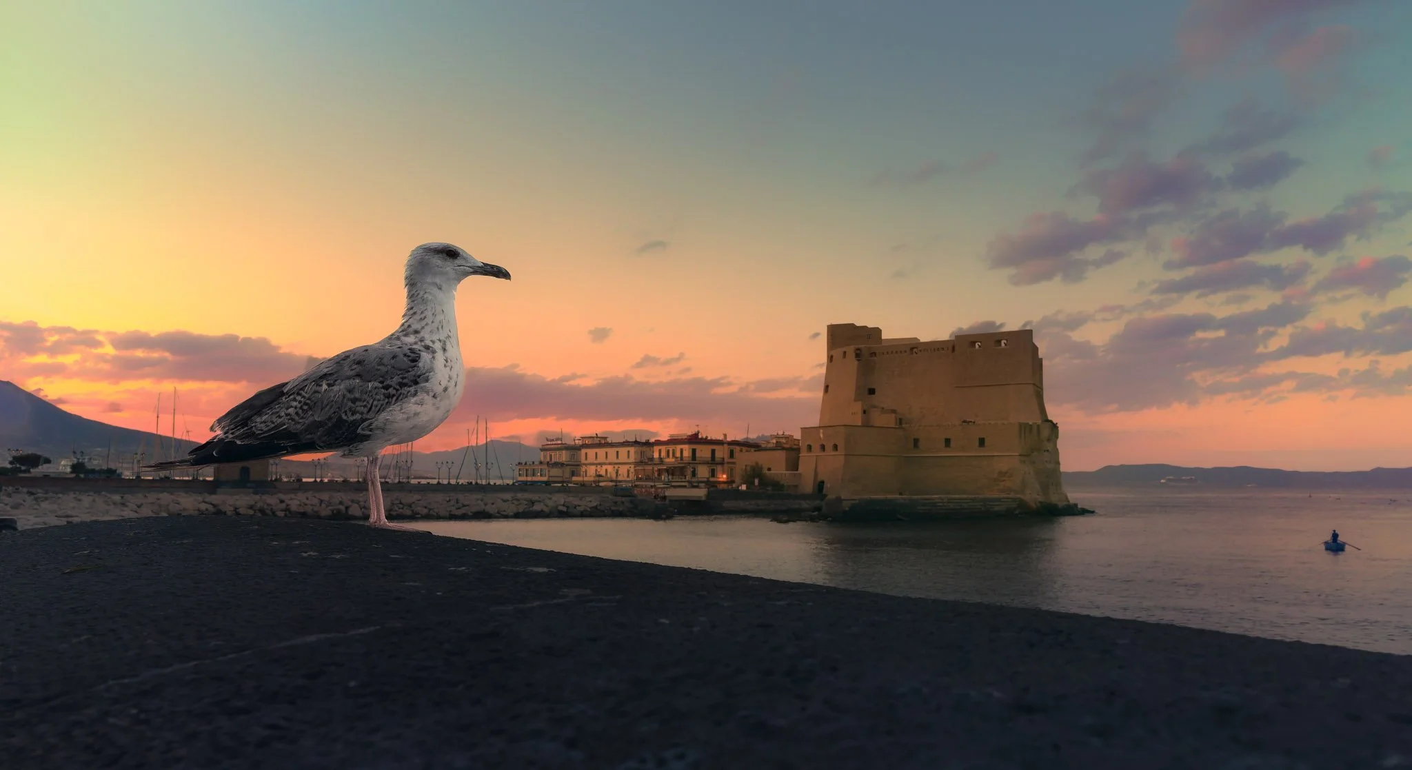 A seagull stands on a wall in the foreground, with the sea and Castel dell'Ovo illuminated by sunset in the distance.