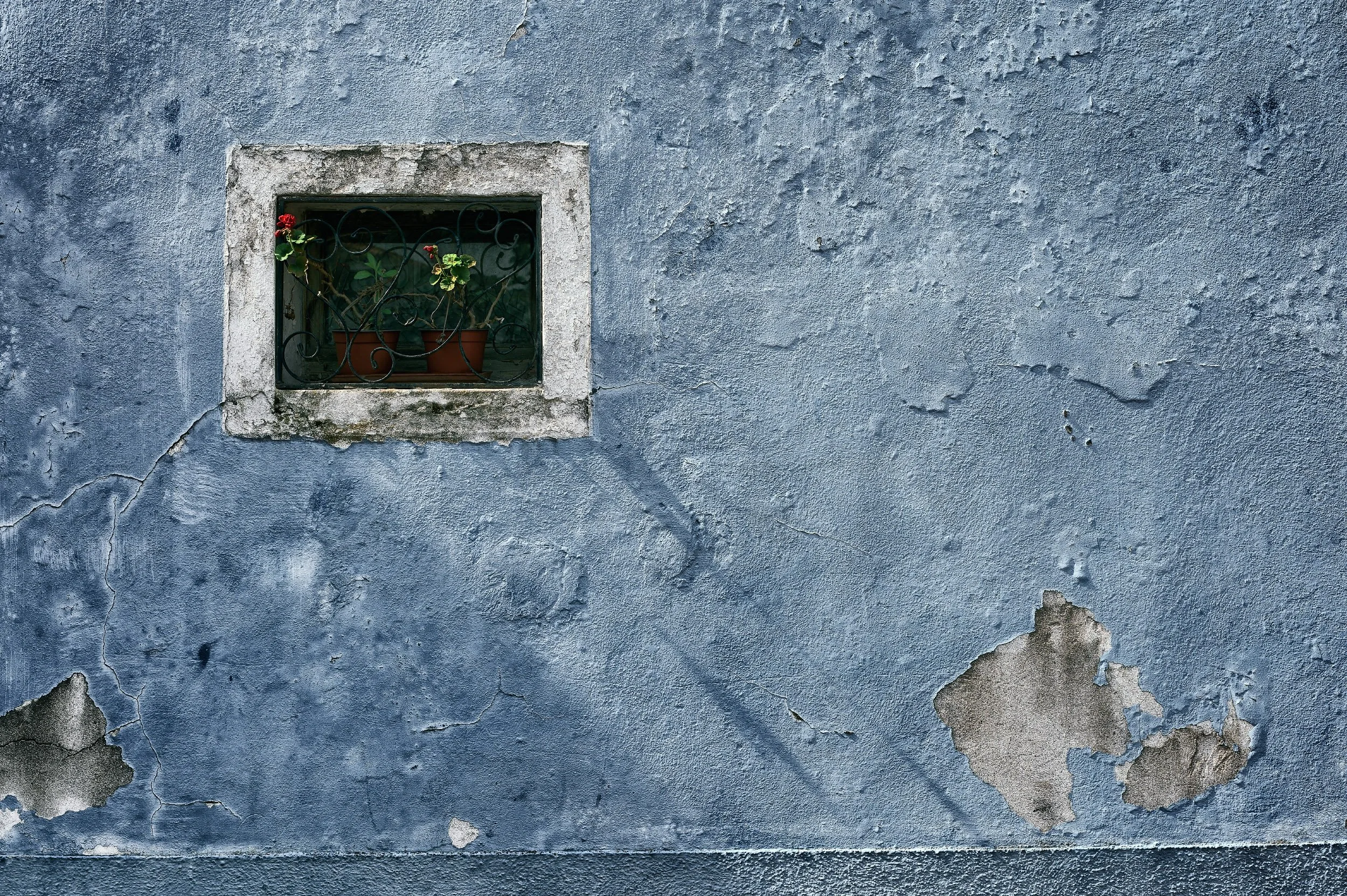 Finestra con grate e piante in vaso su una parete di muro blu su cui sono evidenti i segni del tempo.