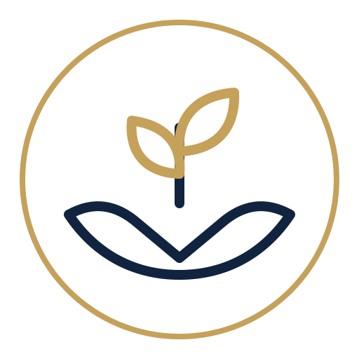Plant supported by hands representing stewardship