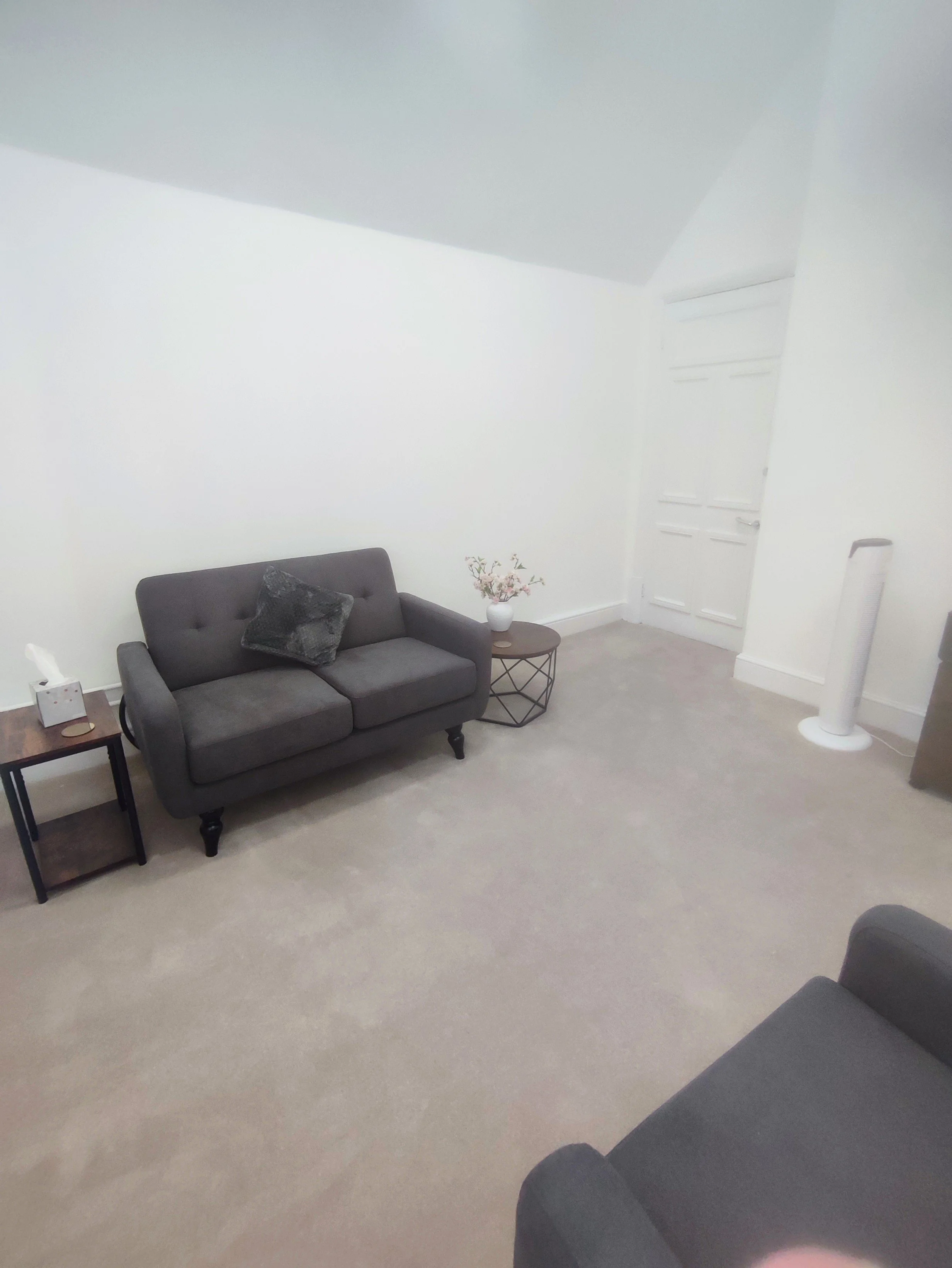 A living room with off-white walls and beige carpeted flooring, featuring a grey sofa with black and grey pillows, a small side table with a tissue box, a flower arrangement in a white vase, a white oscillating fan, and a closed white door.
