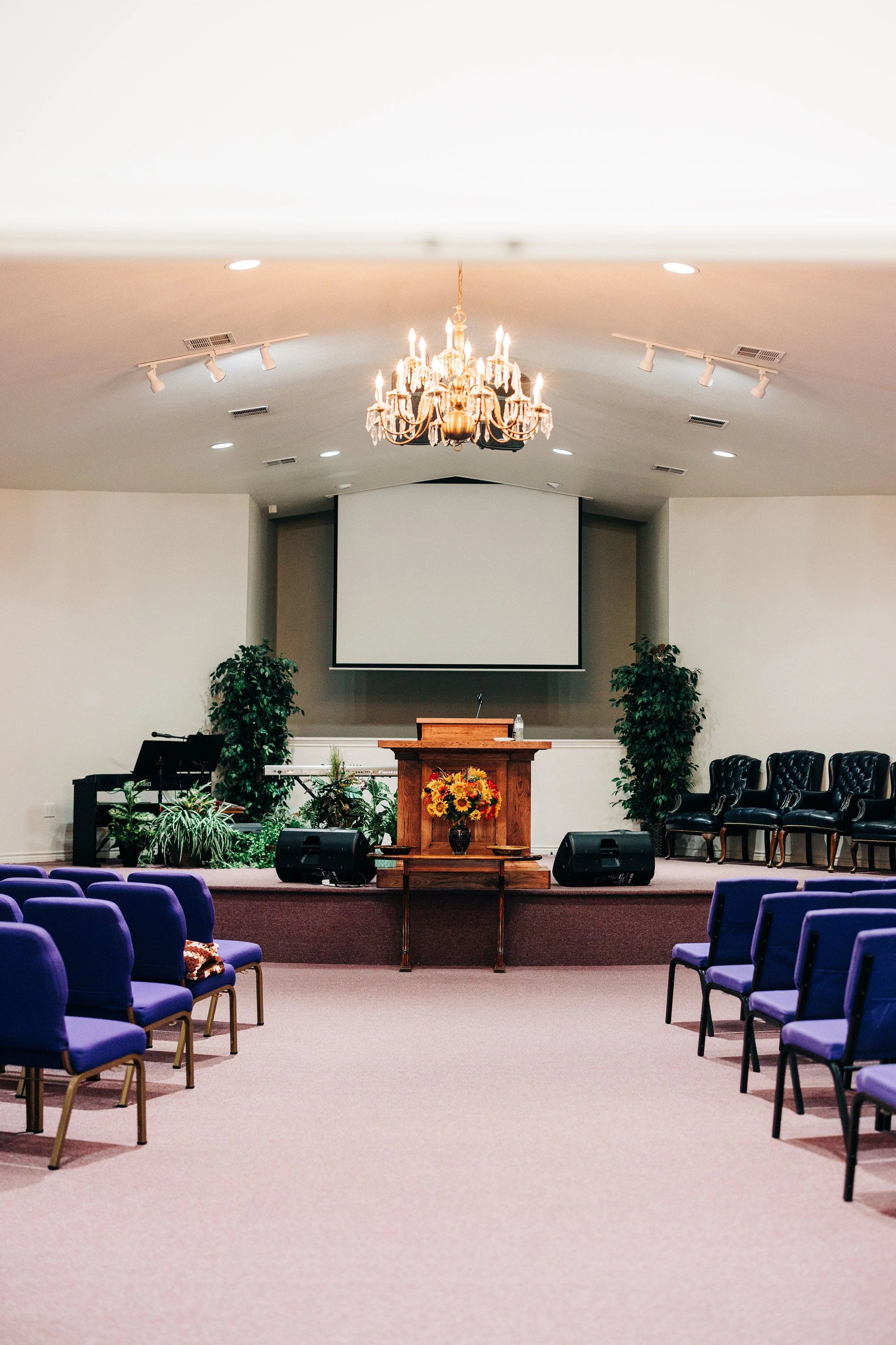 Church sanctuary with a wooden pulpit, projection screen, chandelier, musical instruments, plants, and rows of purple chairs