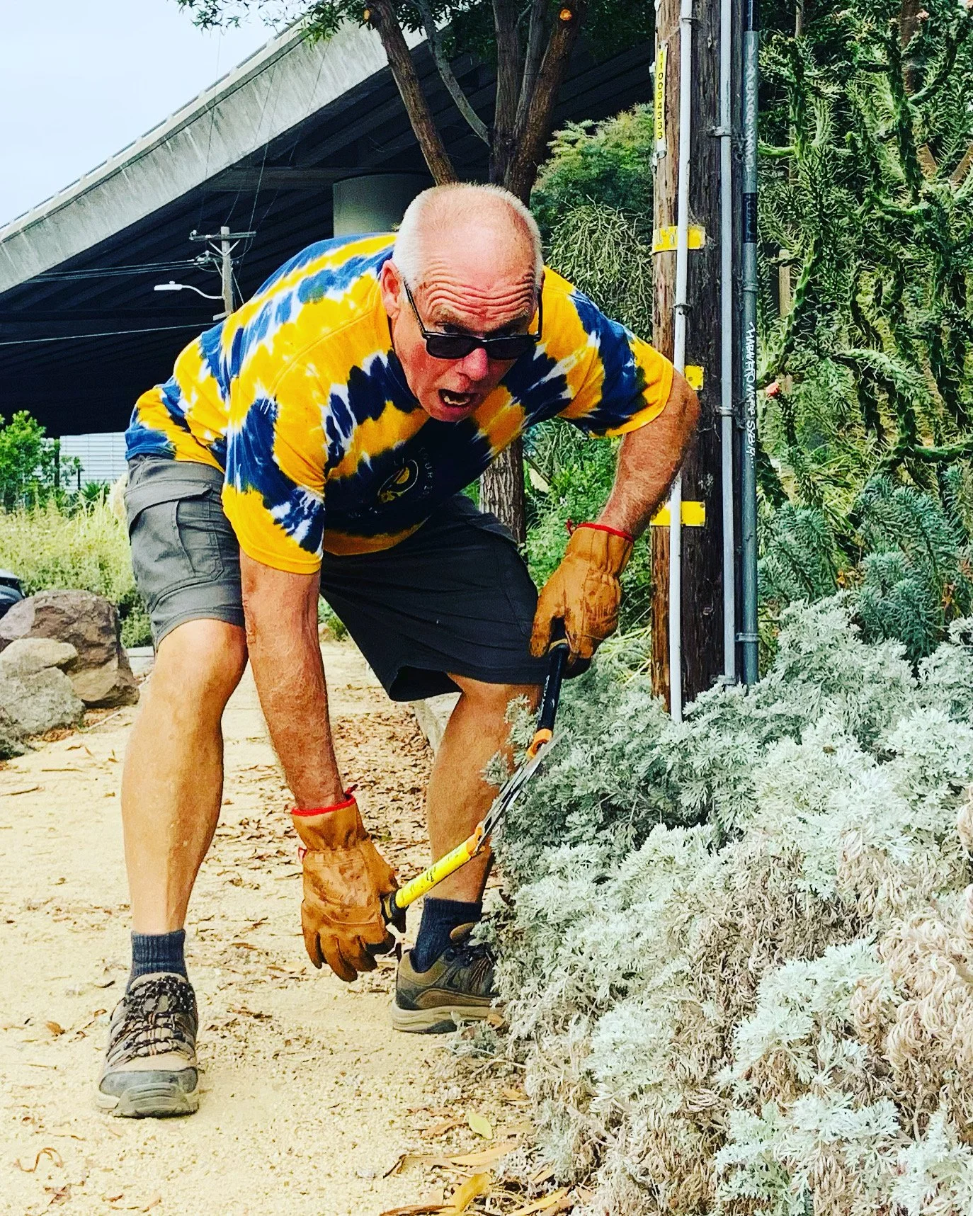 Volunteer days - October and November