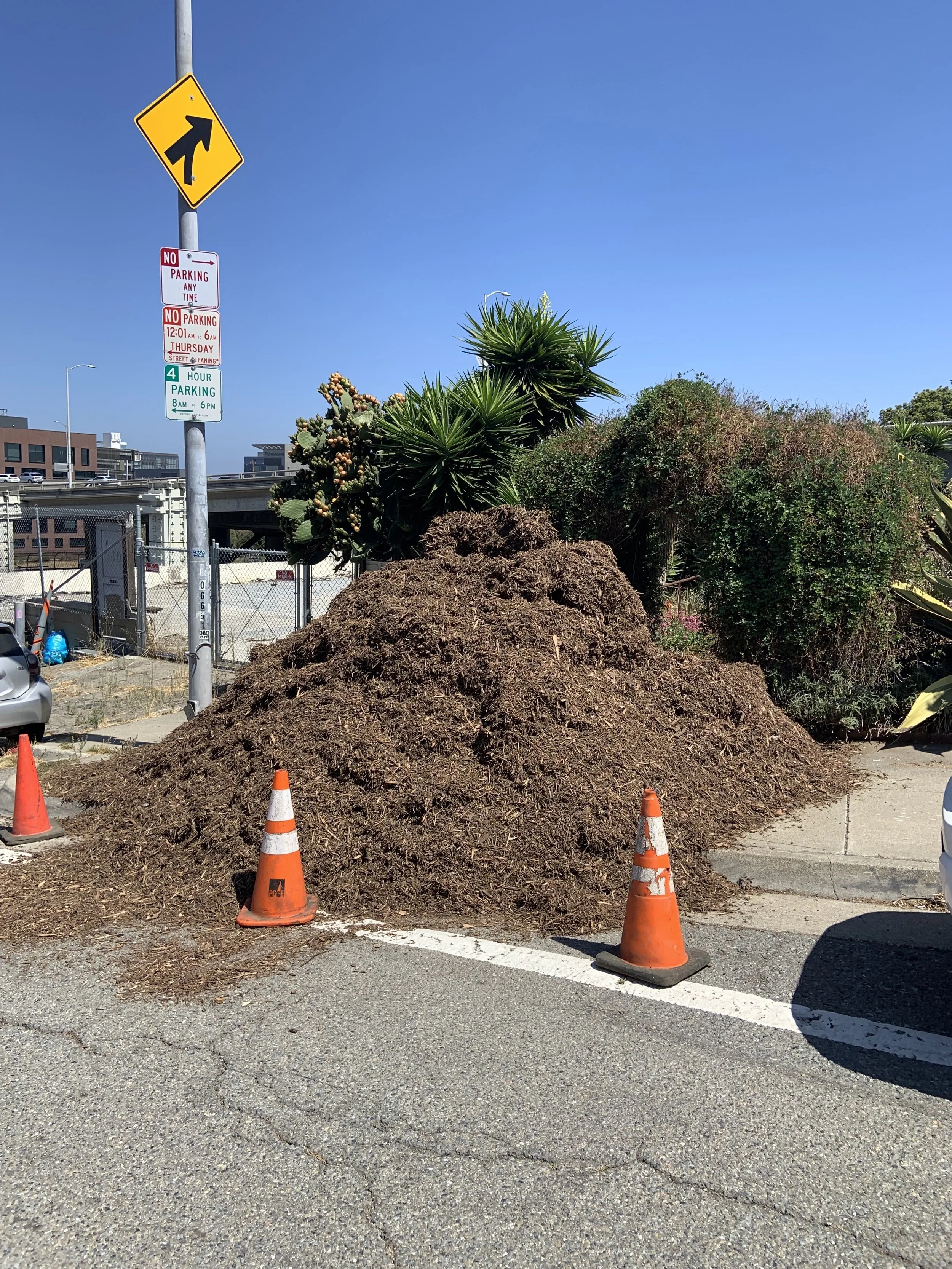 Pathways: mulched