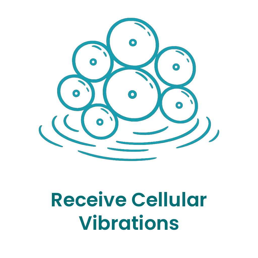 Align your body’s cells with acoustic patterns derived from the music.