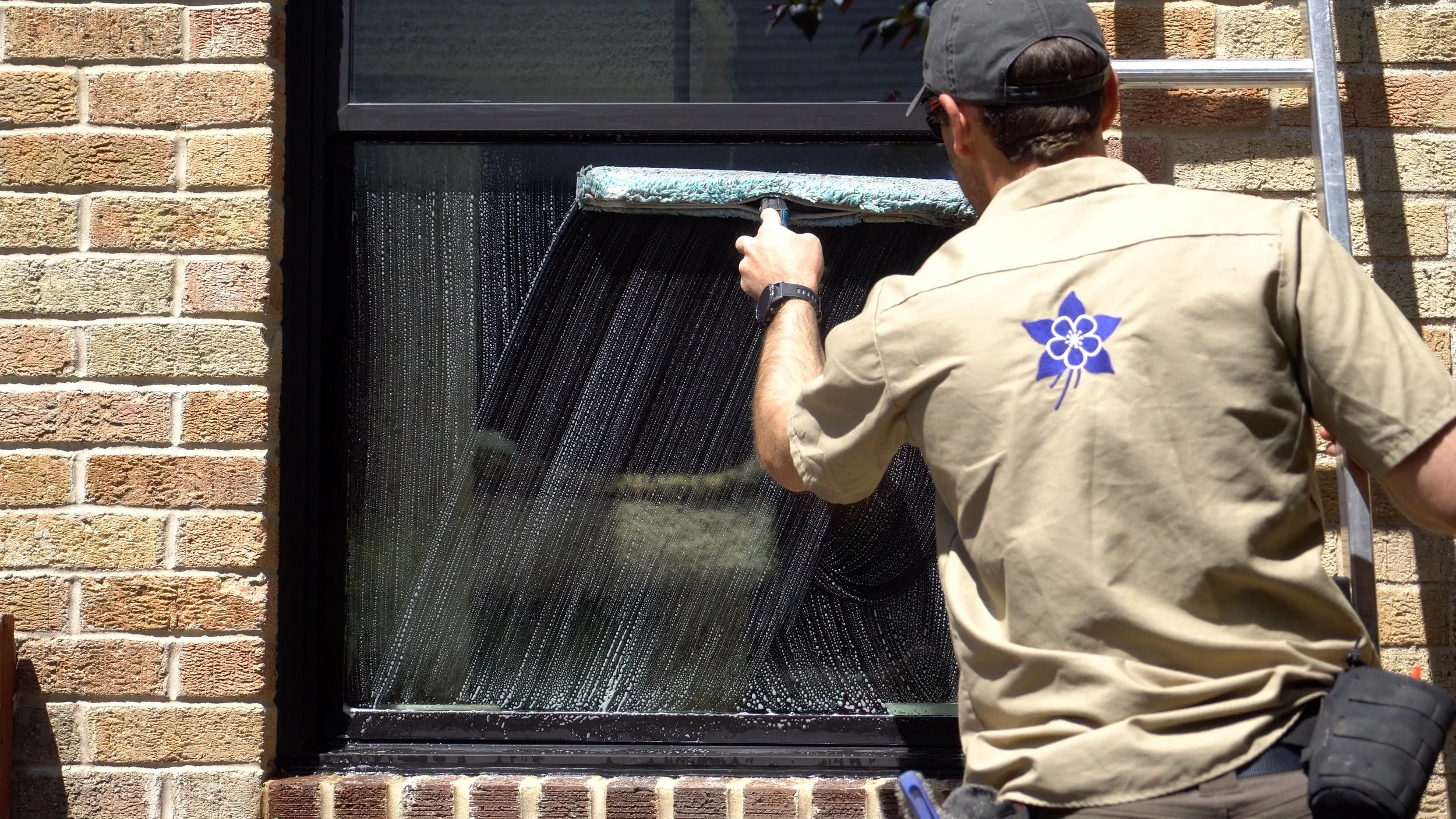 A worker wearing a company Columbine Window Cleaning shirt, cleaning a window with a professional squeegee, standing on a ladder outside a brick building.