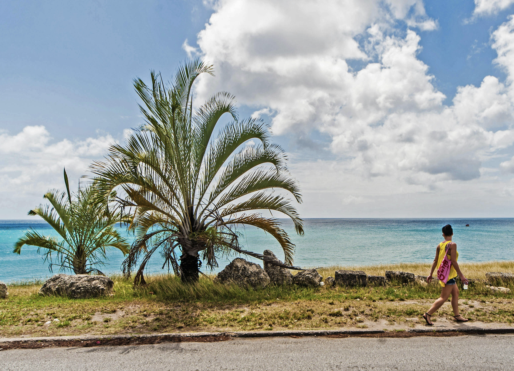 Do You Need a Car in Barbados?