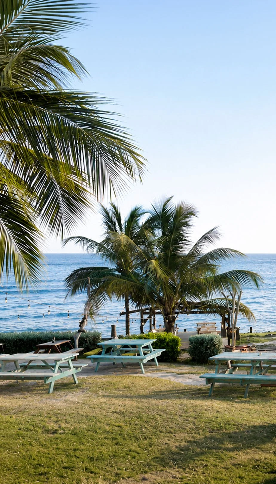 Beachside scene with palm trees, picnic tables, and a view of the ocean under a clear sky.