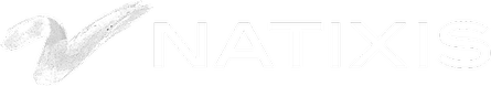 Logo with stylized 'V' and the word 'NATIXIS'