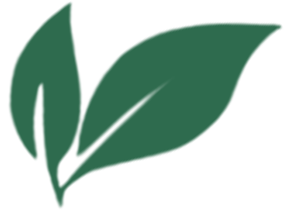 Two stylized green leaves