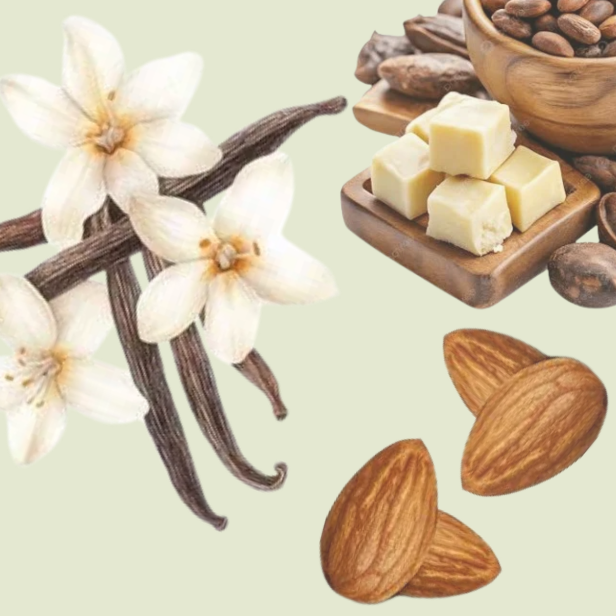 Untitled Design (1).png