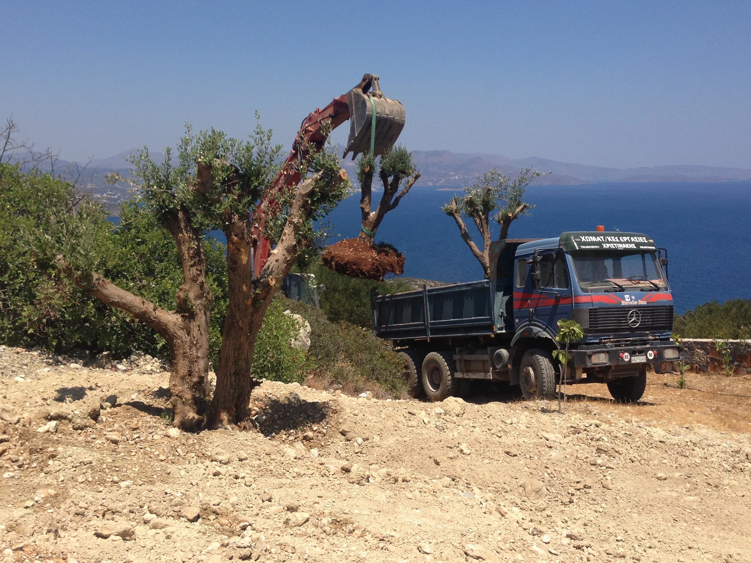 A truck is lifting a tree with a excavator arm in a landscape with dirt ground, bushes, distant mountains, and a large body of water under a clear blue sky.