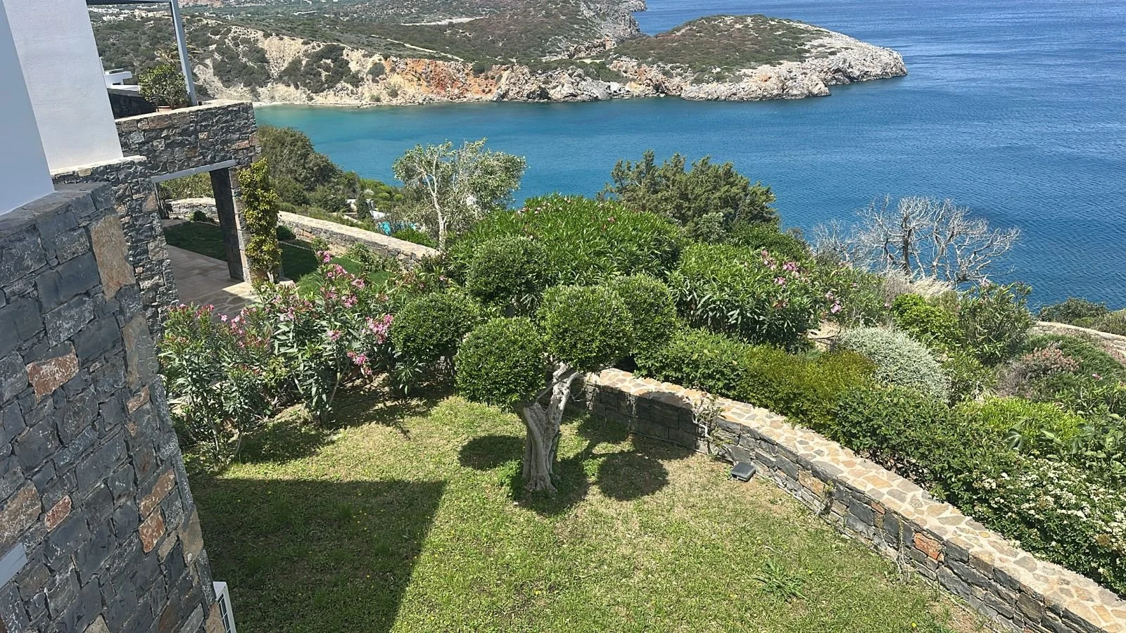 A landscaped garden with a small tree, various bushes, pink flowers, and a stone wall overlooking a body of water with rocky cliffs and blue sky in the background.