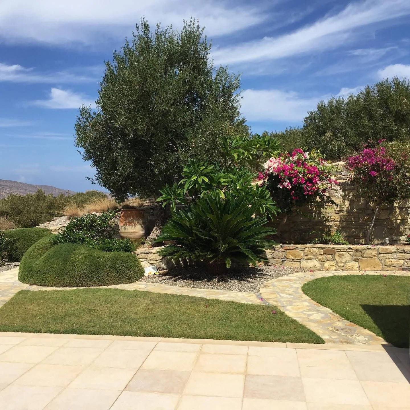 A landscaped backyard with a stone pathway, green lawns, bushes, potted trees, flowering plants, and a stone retaining wall, with a blue sky and some clouds overhead.