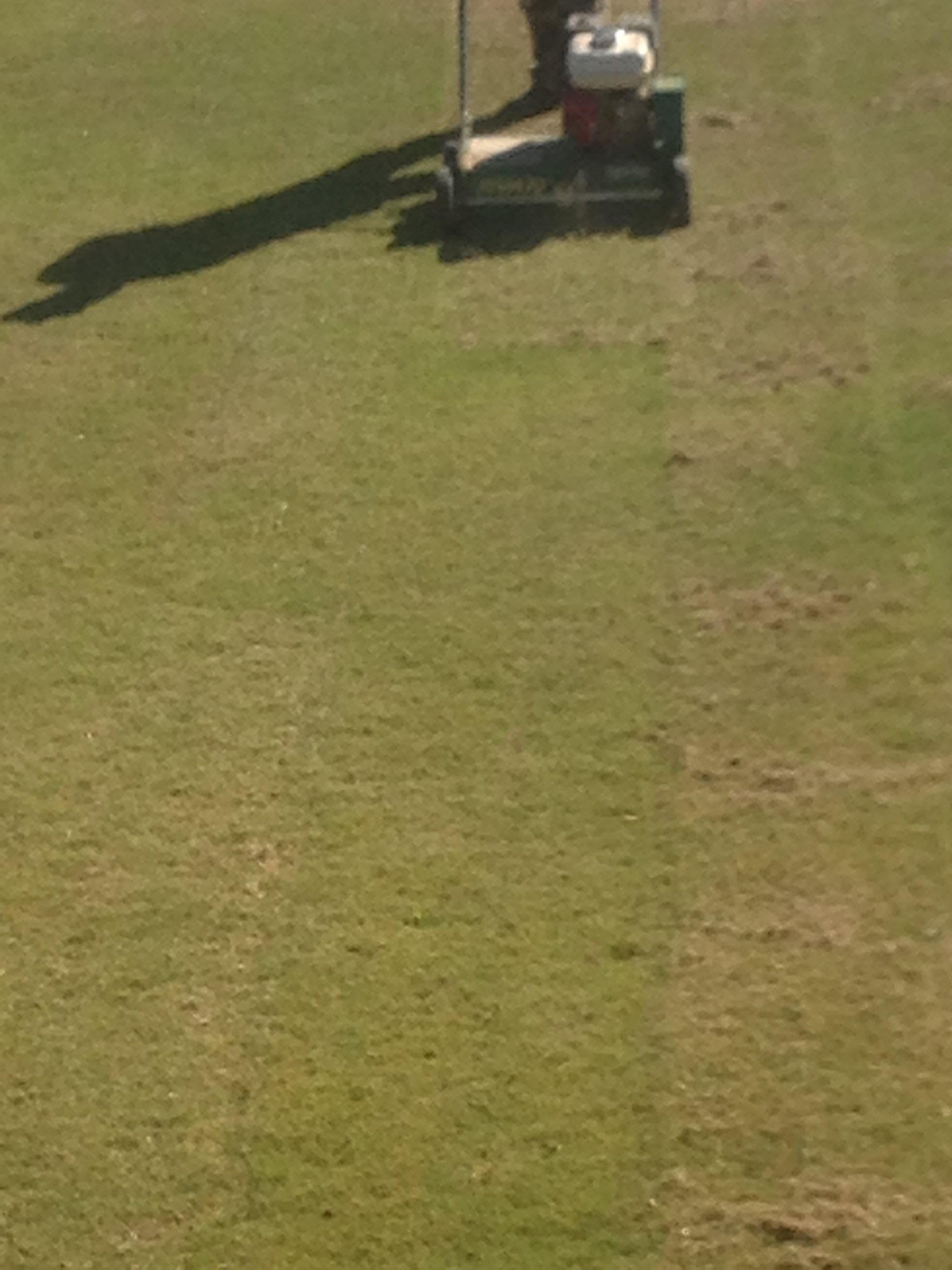 A push lawn mower on a grassy lawn at night, casting a shadow.