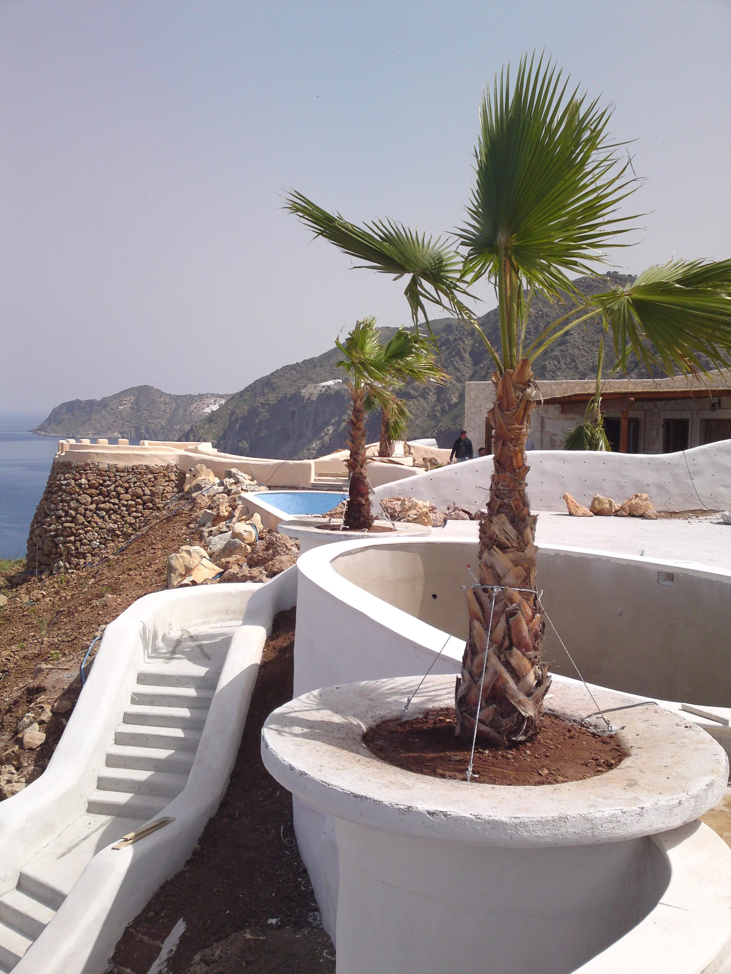 Several young palm trees planted in circular planters made of white material, with a white slide in the foreground. In the background, there are rocky hills and clear sky.