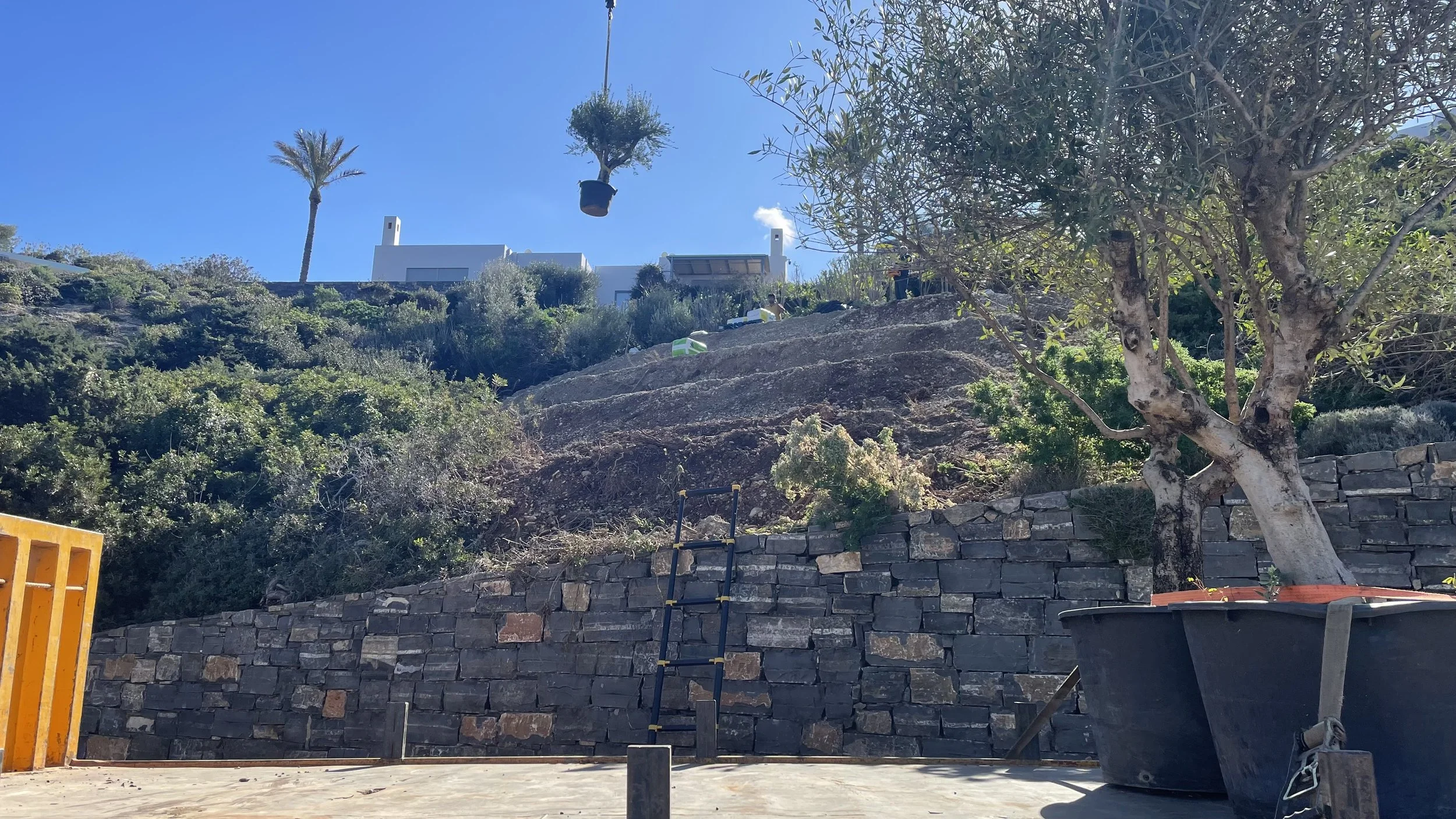 A hillside garden with a stone retaining wall, trees, and plants under a clear blue sky. A black pot with a plant hangs from a wire, and a white house is visible at the top of the hill.